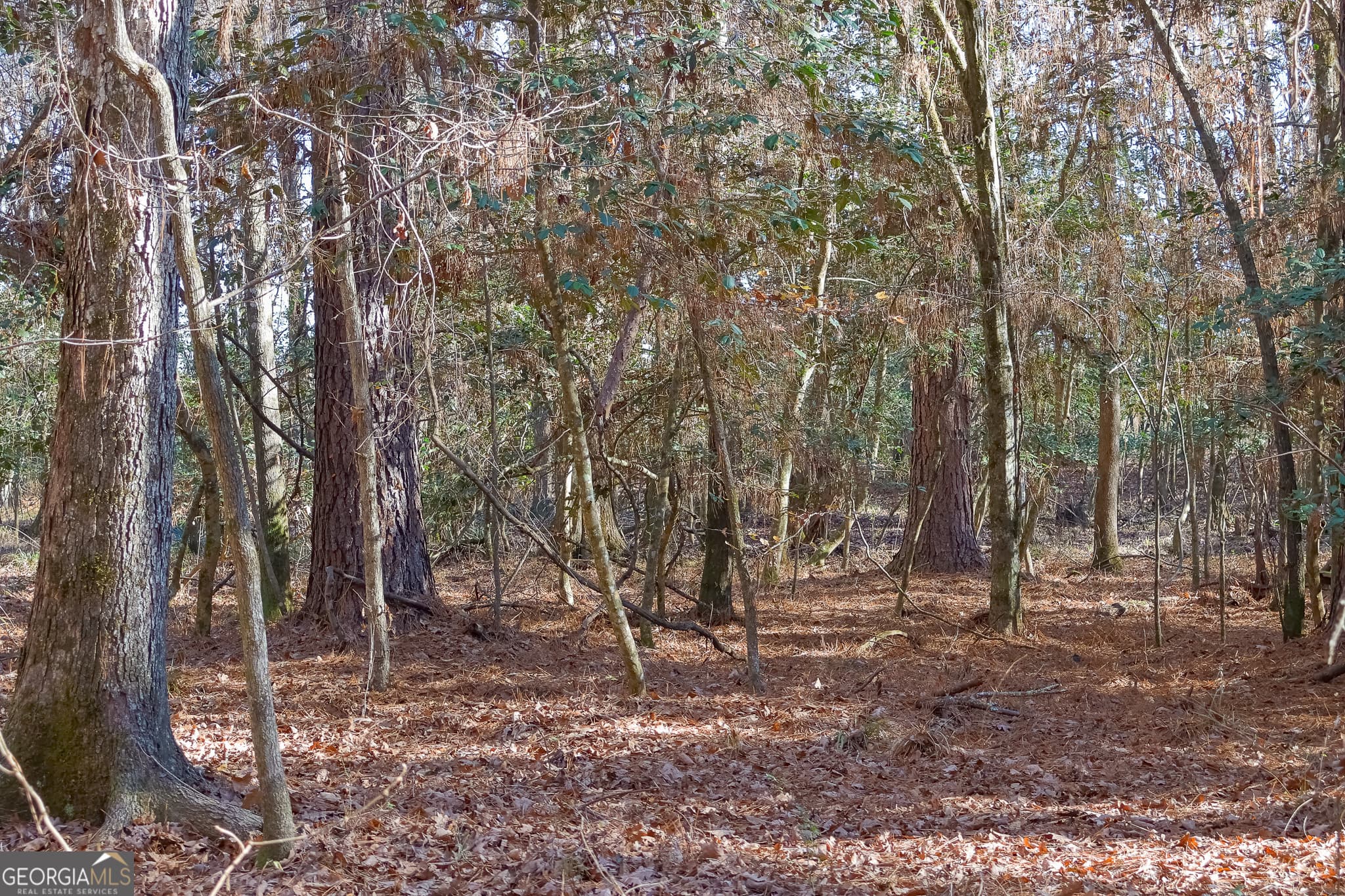 unimproved land for sale at 557 Limestone Road, Cochran, GA 31014 — photo 9