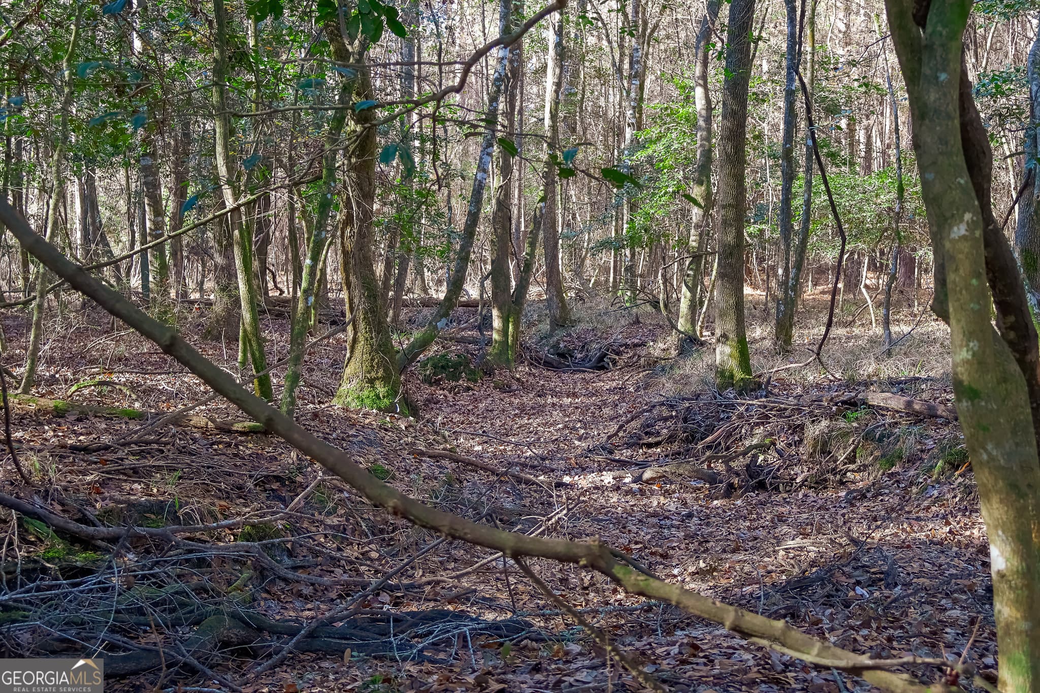 unimproved land for sale at 557 Limestone Road, Cochran, GA 31014 — photo 10