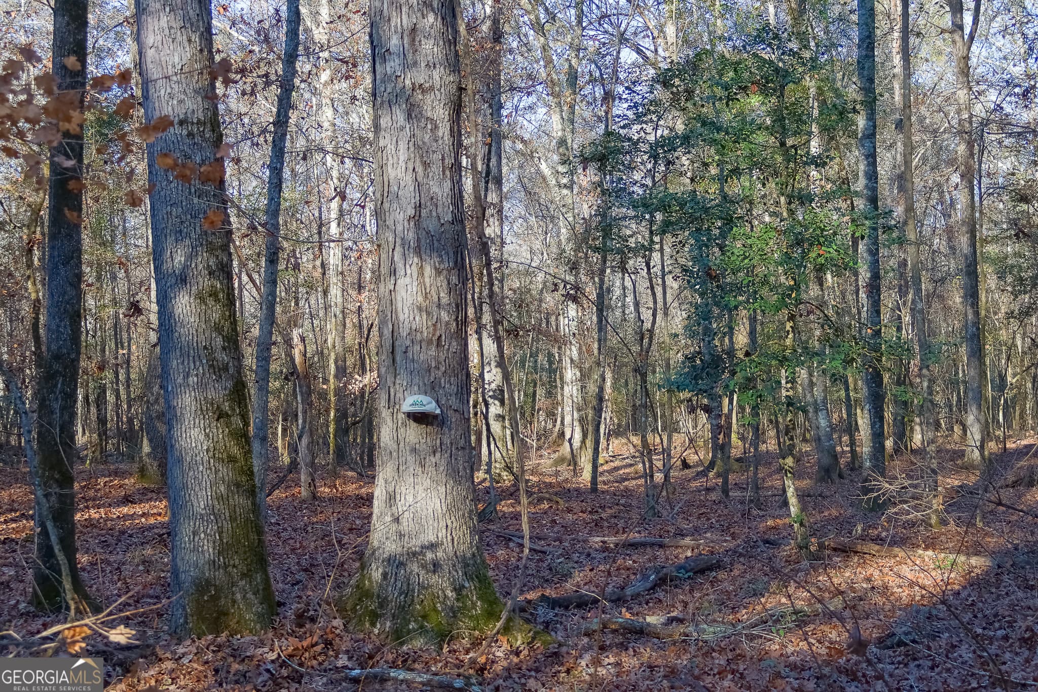 unimproved land for sale at 557 Limestone Road, Cochran, GA 31014 — photo 4