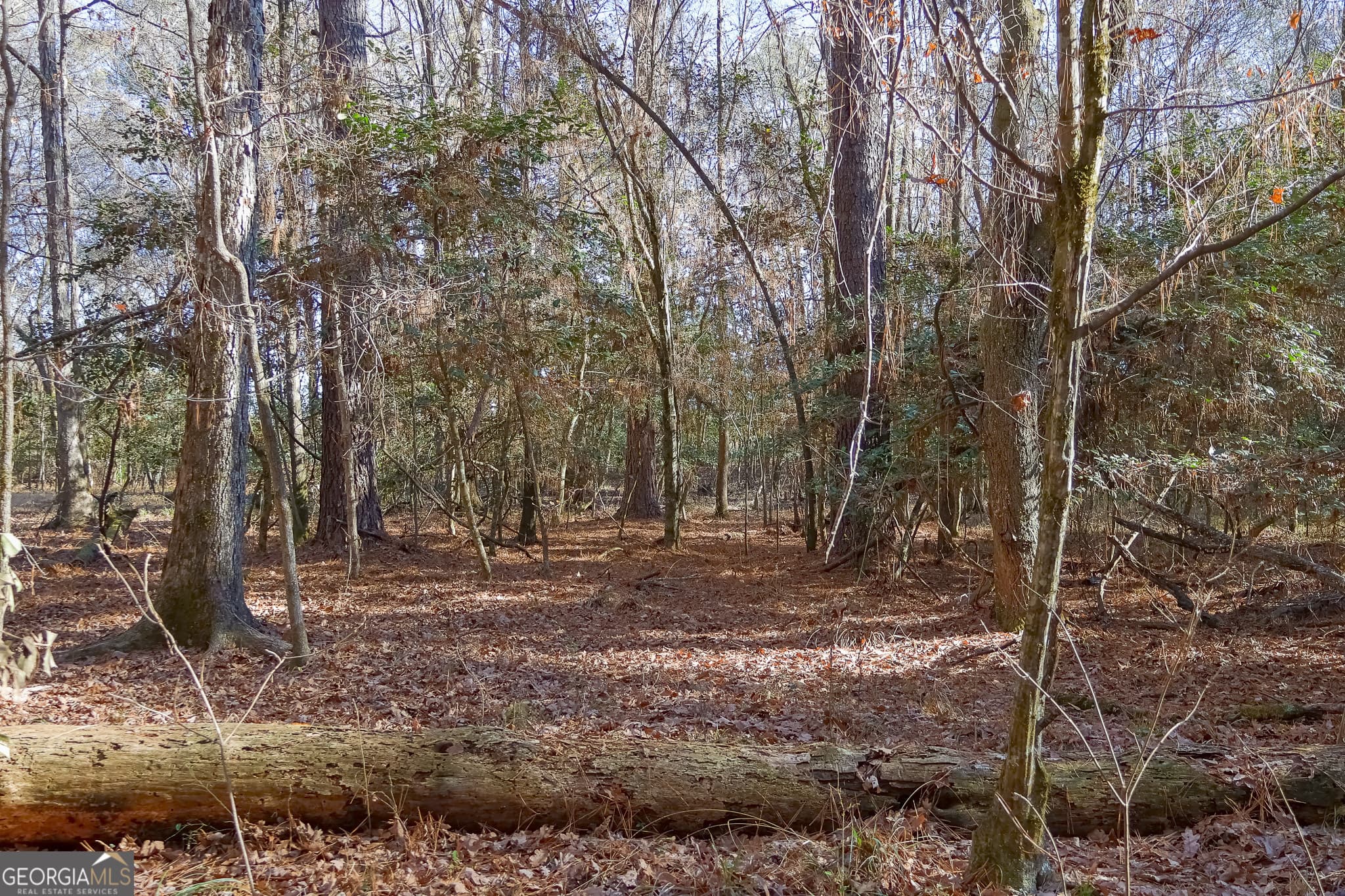 unimproved land for sale at 557 Limestone Road, Cochran, GA 31014 — photo 8