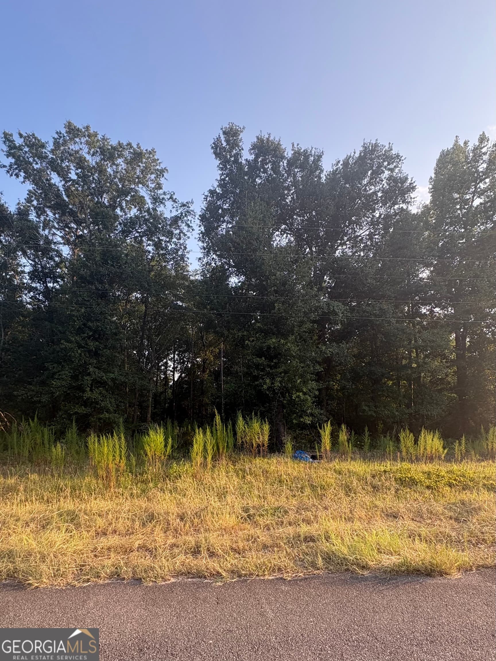 residential lot for sale at 0 Bridgemill Road, East Dublin, GA 31027 — photo 1 of 1