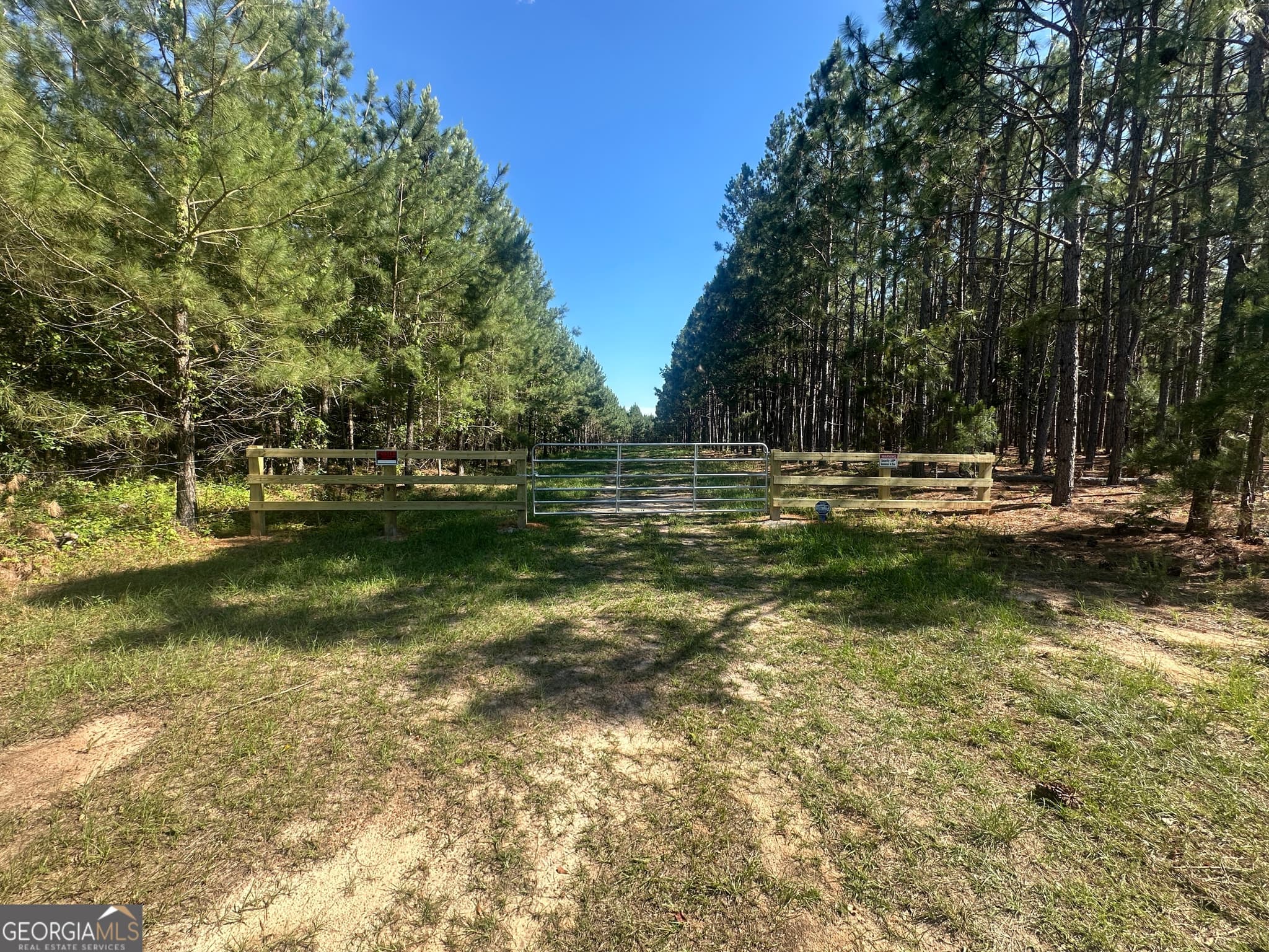 unimproved land for sale at 0 Dorsey Clark Road, Sylvania, GA 30467