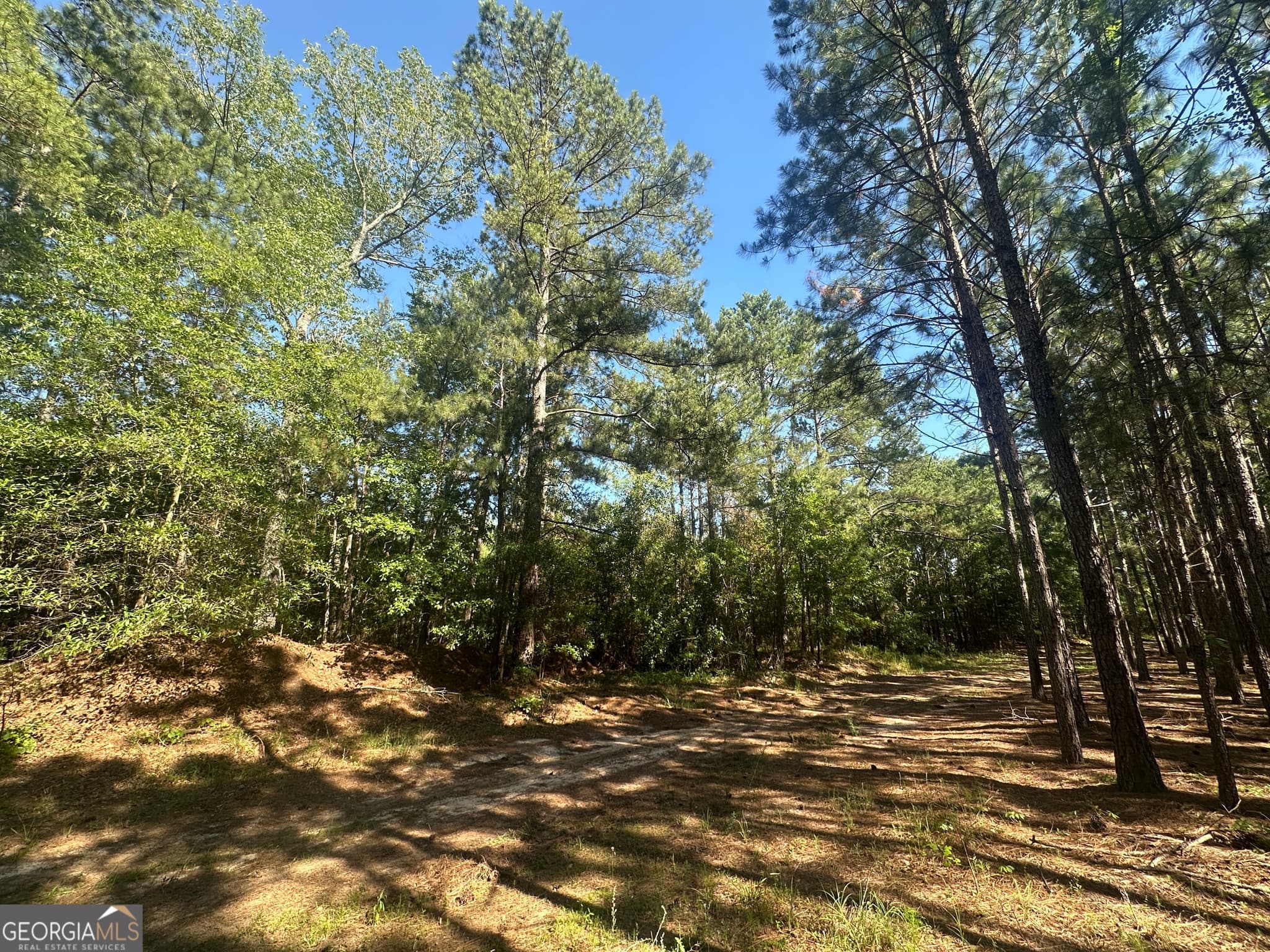 unimproved land for sale at 0 Dorsey Clark Road, Sylvania, GA 30467 — photo 10