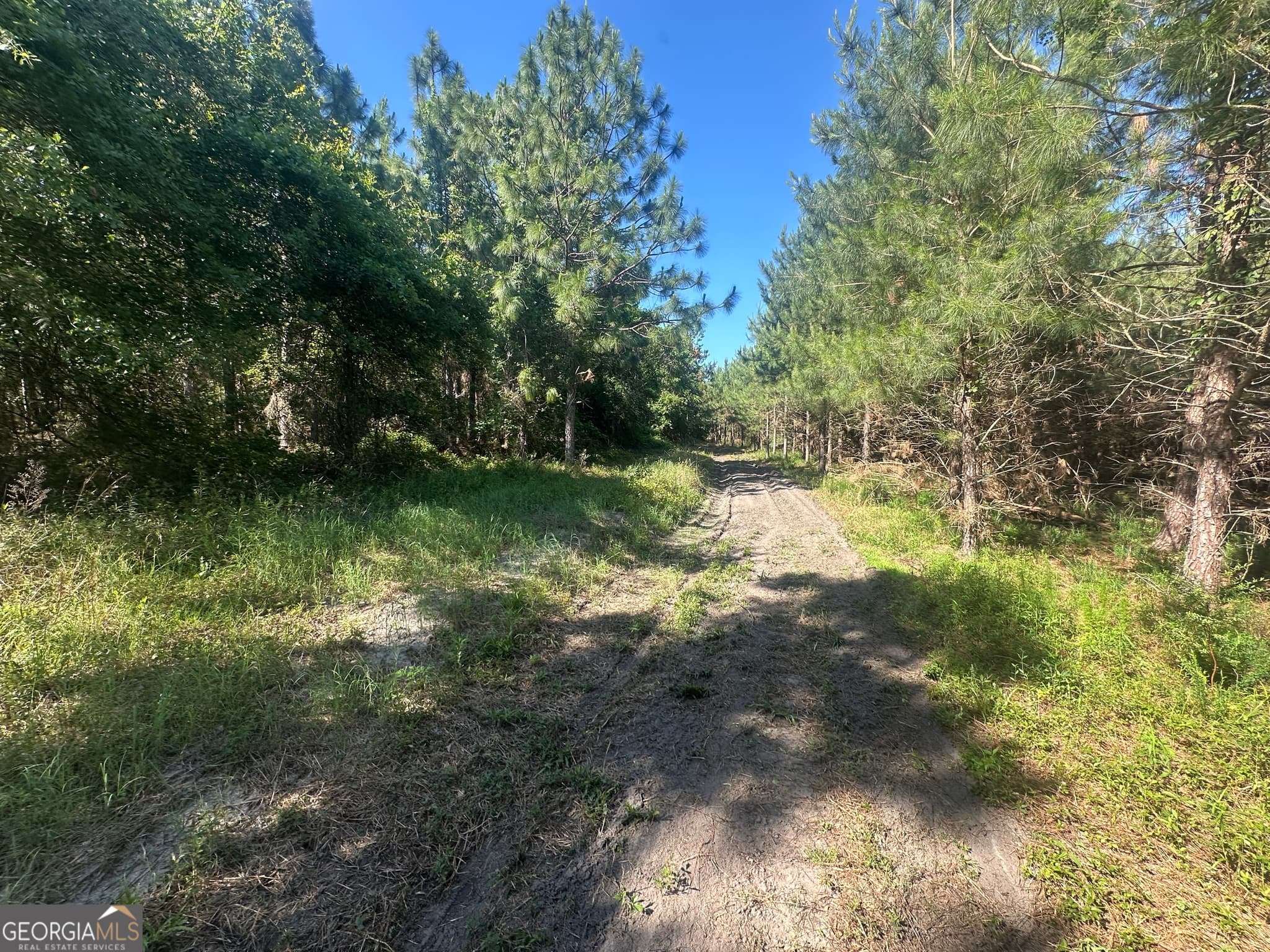 unimproved land for sale at 0 Dorsey Clark Road, Sylvania, GA 30467 — photo 8