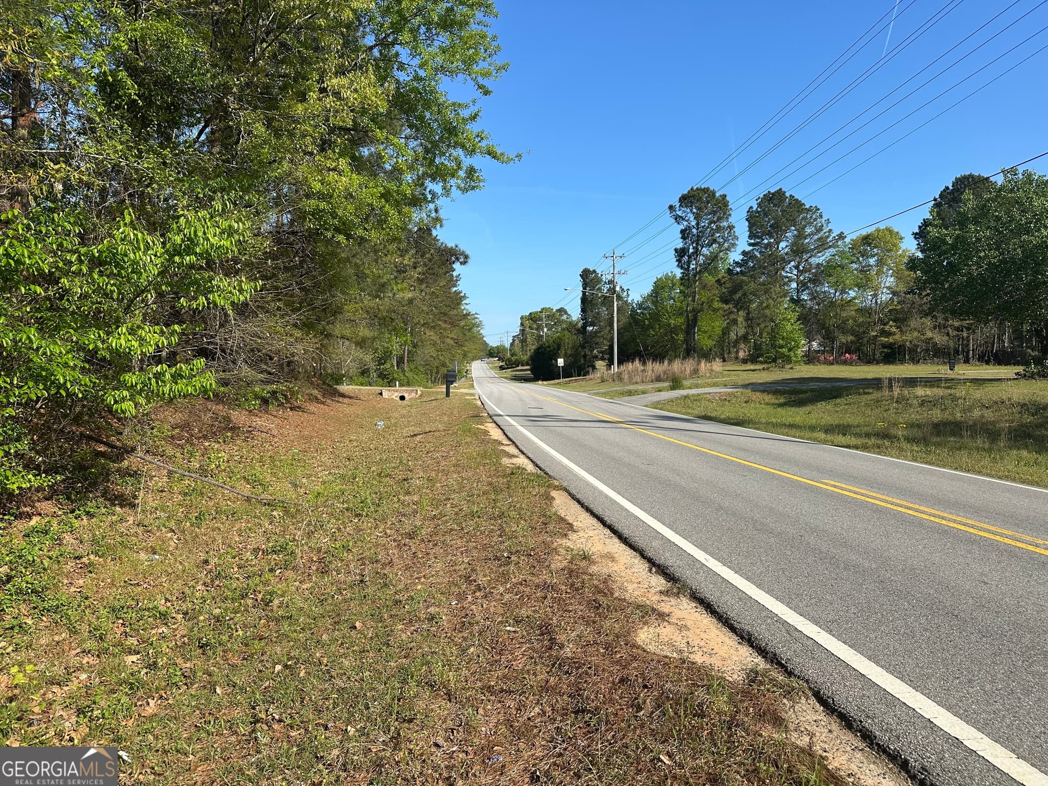unimproved land for sale at 4253 Bath Edie Road, Hephzibah, GA 30815 — photo 6