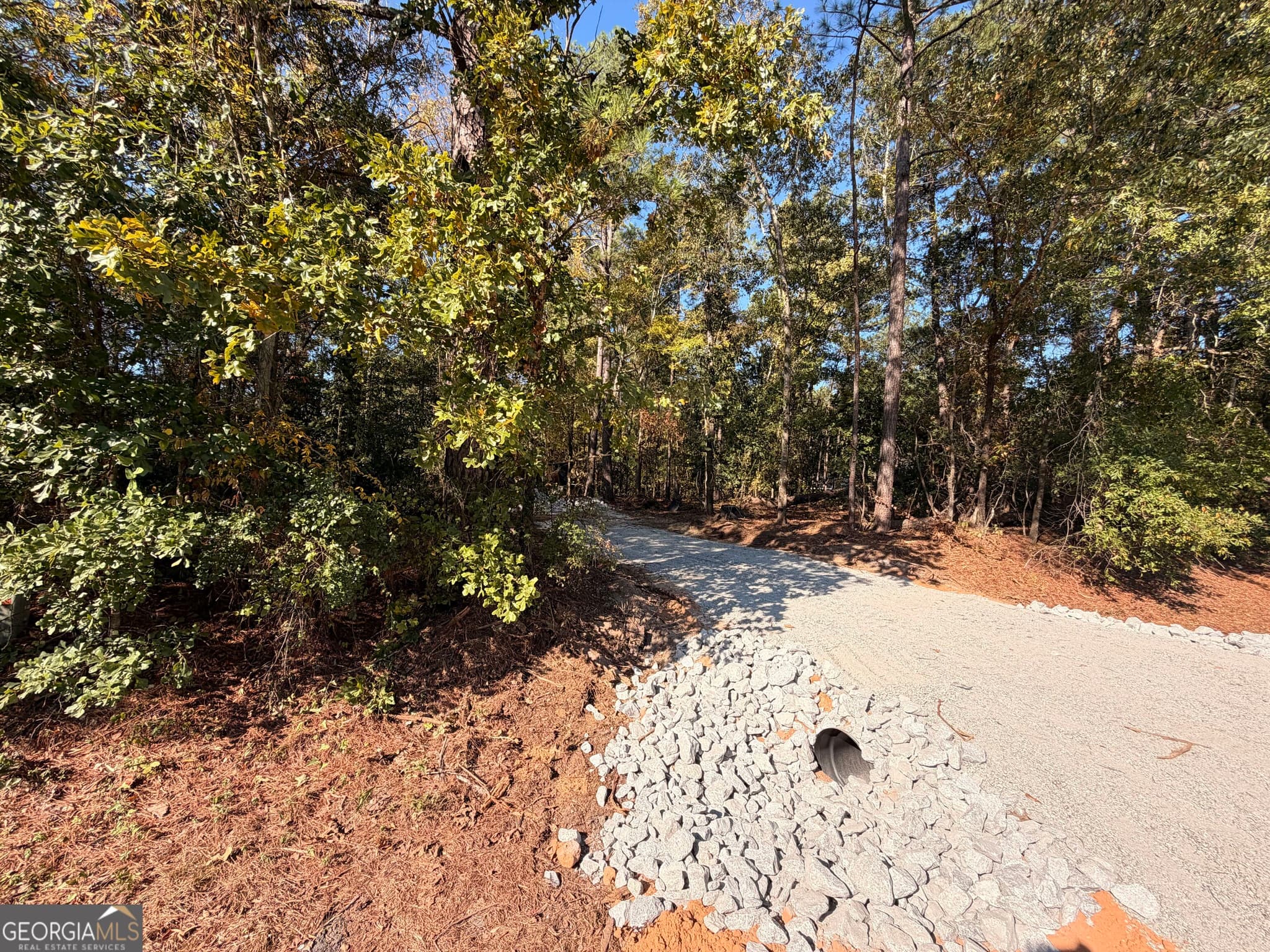 unimproved land for sale at 4253 Bath Edie Road, Hephzibah, GA 30815 — photo 5