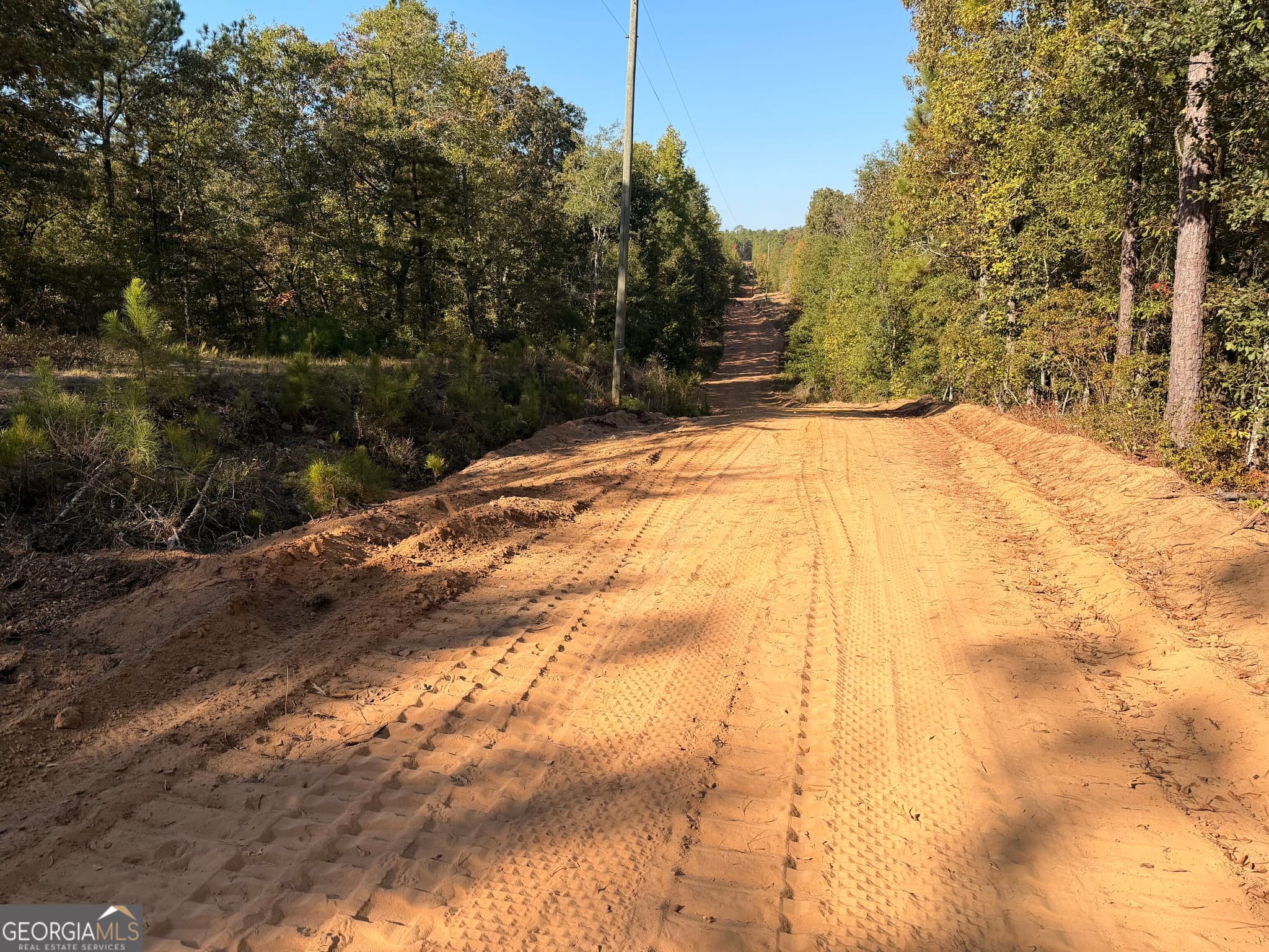 unimproved land for sale at 4253 Bath Edie Road, Hephzibah, GA 30815 — photo 9