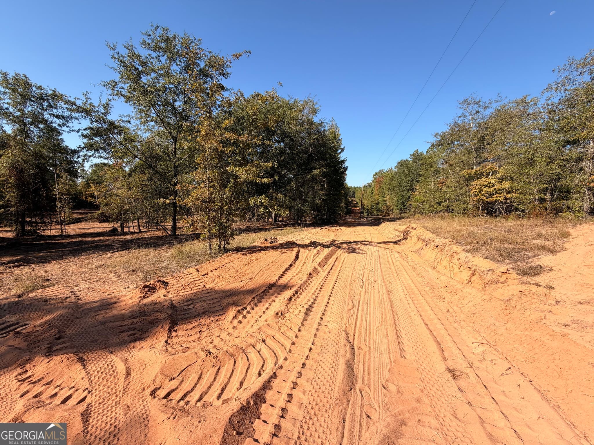 unimproved land for sale at 4253 Bath Edie Road, Hephzibah, GA 30815 — photo 10