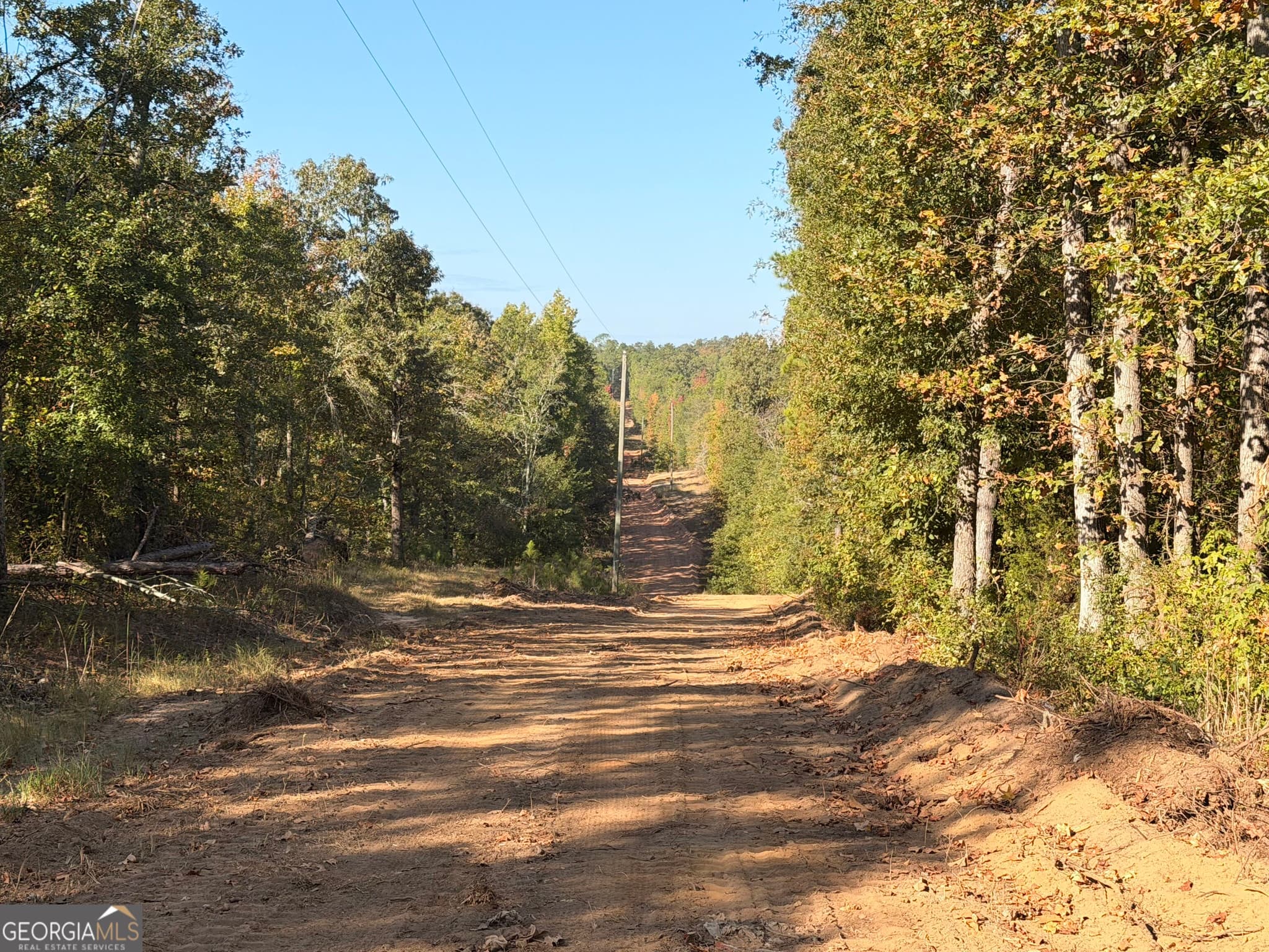 unimproved land for sale at 4253 Bath Edie Road, Hephzibah, GA 30815 — photo 8