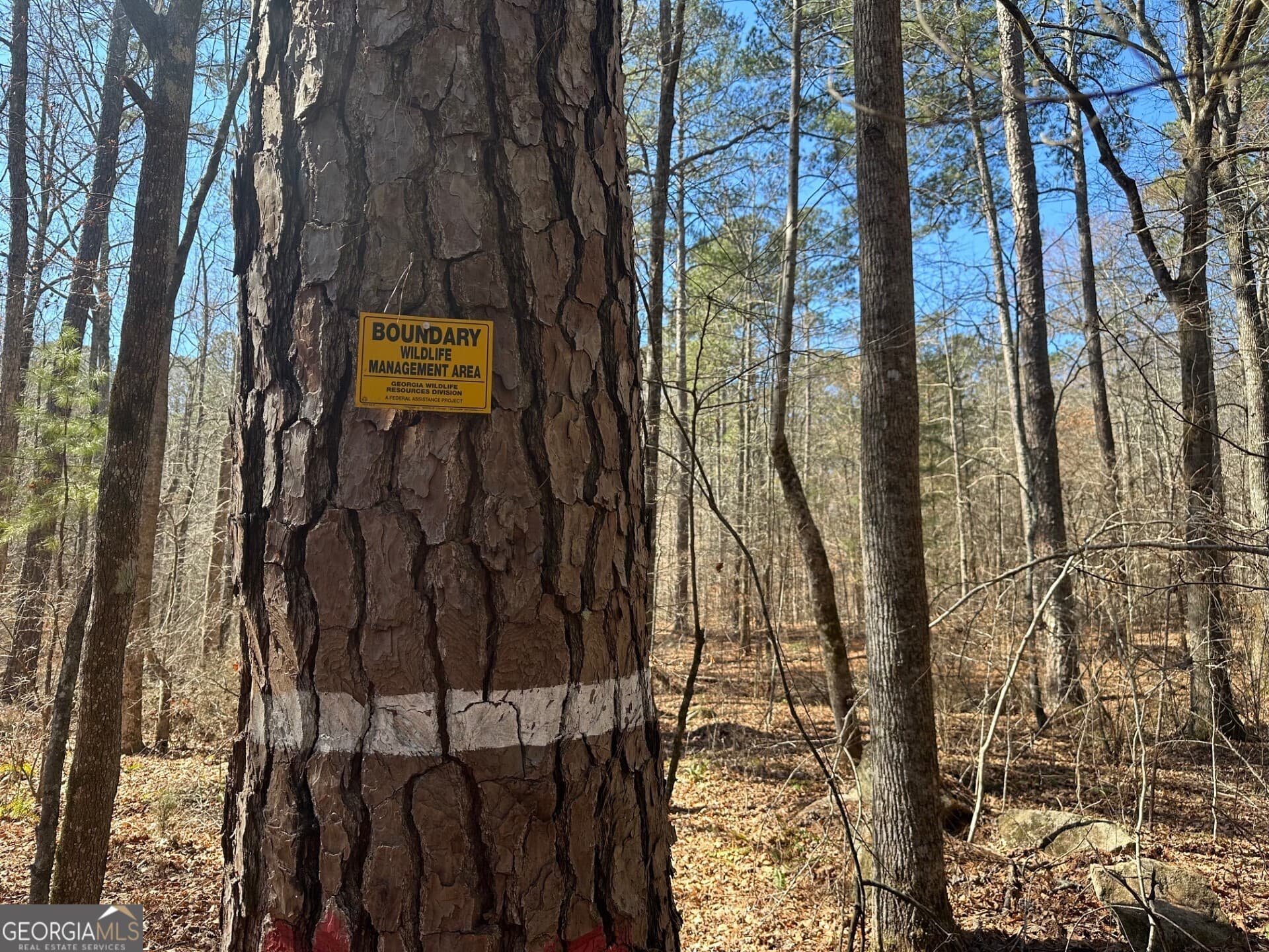 agriculture for sale at 1500 Middlebrooks Road, Watkinsville, GA 30677 — photo 5