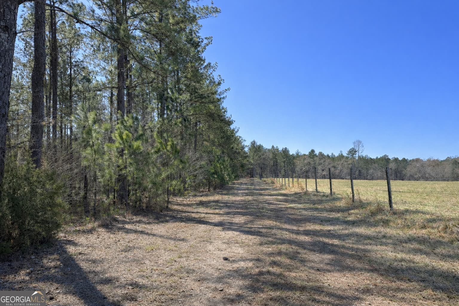 agriculture for sale at 1500 Middlebrooks Road, Watkinsville, GA 30677 — photo 9