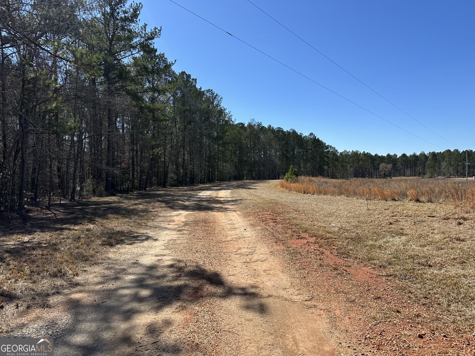 agriculture for sale at 1500 Middlebrooks Road, Watkinsville, GA 30677 — photo 10