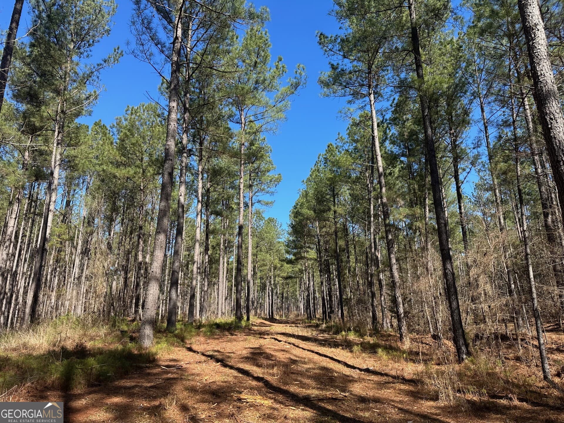 agriculture for sale at 1500 Middlebrooks Road, Watkinsville, GA 30677 — photo 4