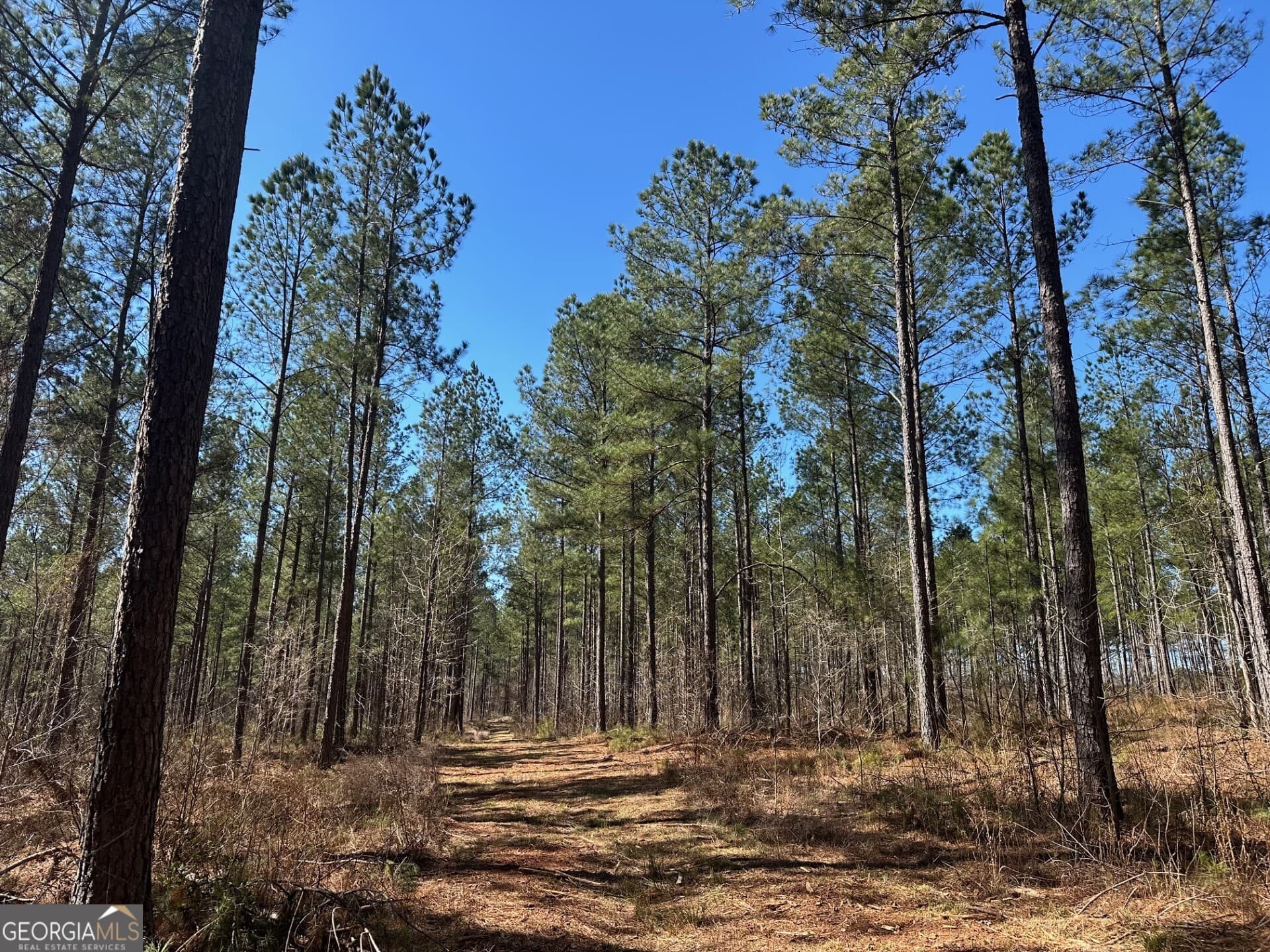 agriculture for sale at 1500 Middlebrooks Road, Watkinsville, GA 30677 — photo 8