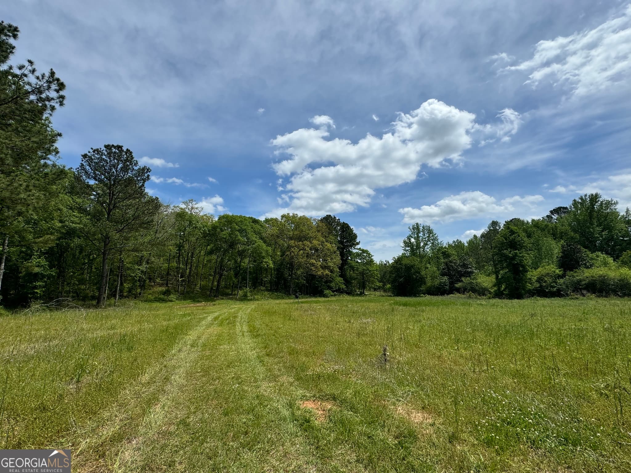 agriculture sold at 2331 Hollonville Road, Brooks, GA 30205