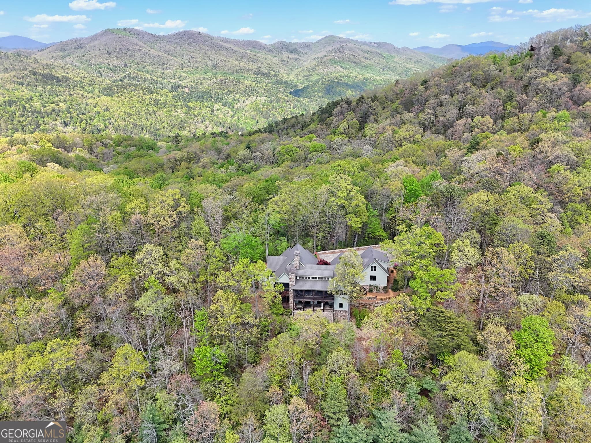 5 bedroom, 5.5 bathroom, 5,886 sq ft single family residence for sale at 913 Tiger Pass Drive, Tiger, GA 30576 — photo 6