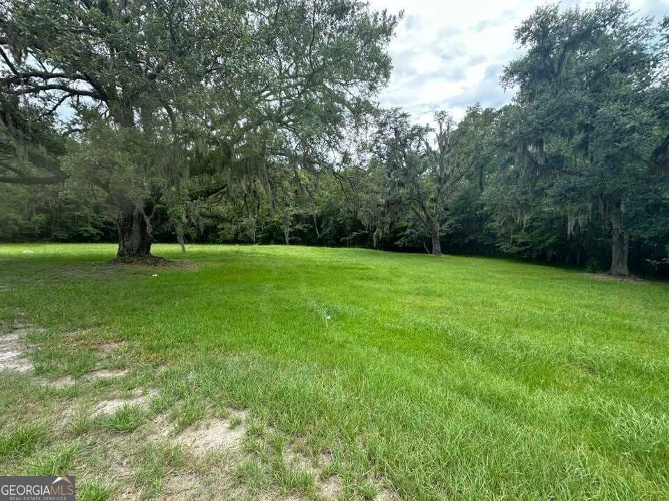 commercial for sale at 6461 New Jesup Highway, Brunswick, GA 31523 — photo 2