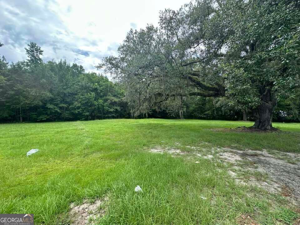 commercial for sale at 6461 New Jesup Highway, Brunswick, GA 31523 — photo 3