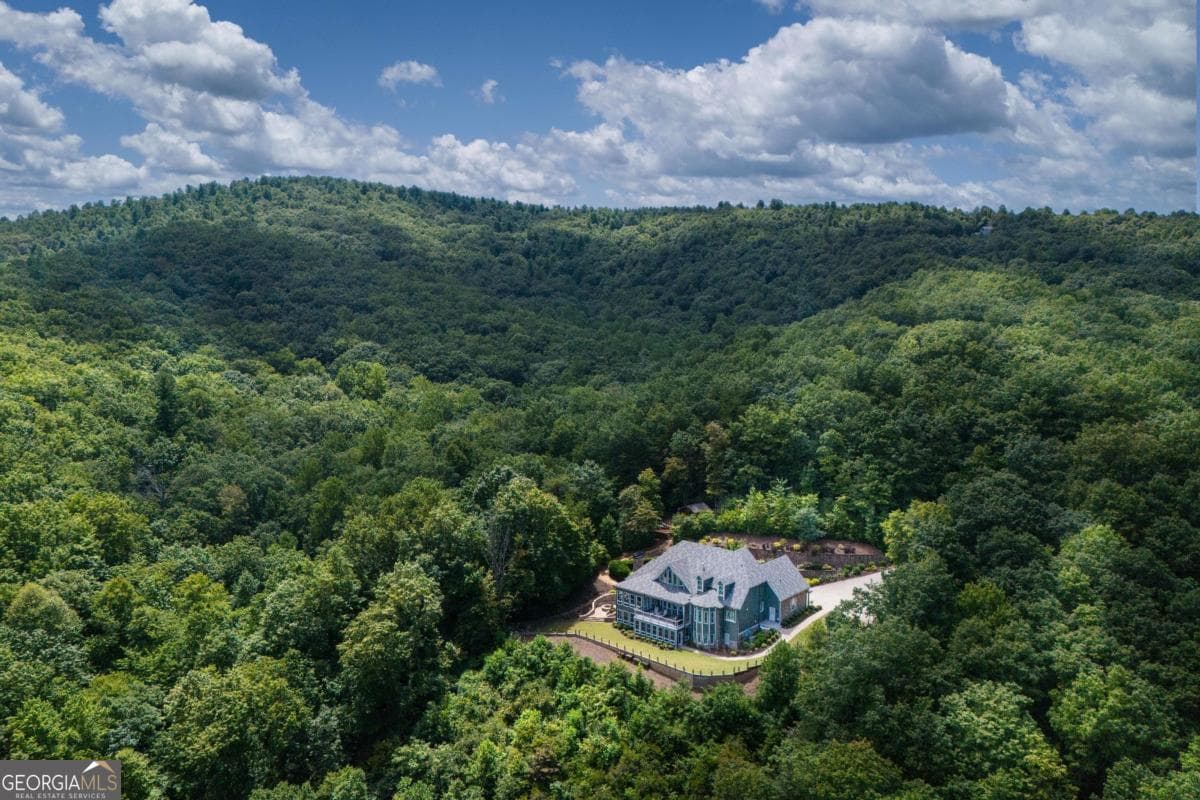 4 bedroom, 4.5 bathroom, 7,500 sq ft single family residence for sale at 430 Sassafras Mountain Laurel Lane, Jasper, GA 30143 — photo 6