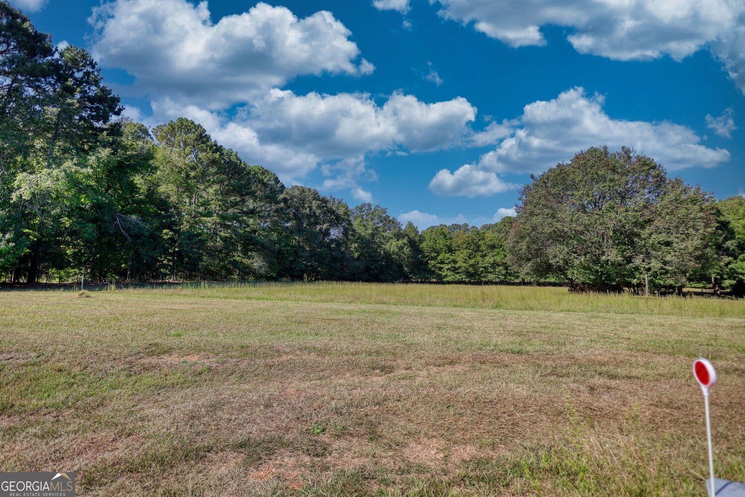 unimproved land for sale at 291 Hinton Circle, Covington, GA 30016 — photo 6