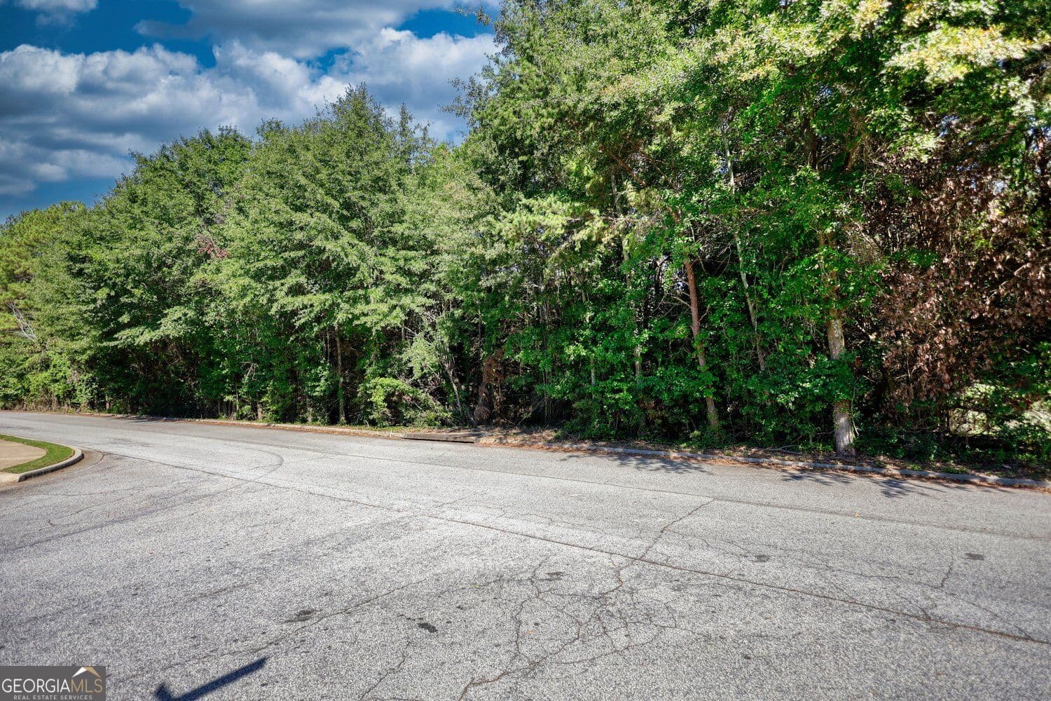 unimproved land for sale at 291 Hinton Circle, Covington, GA 30016 — photo 10