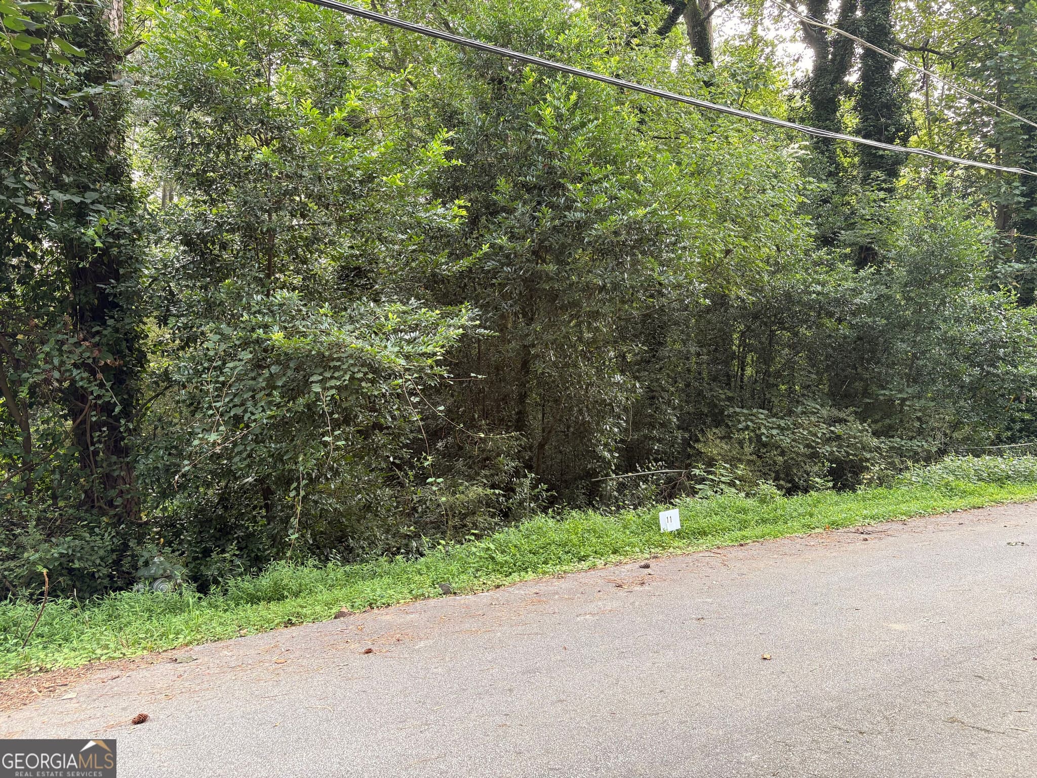 residential lot for sale at LOT 11 Adamson Road, Jonesboro, GA 30236 — photo 3