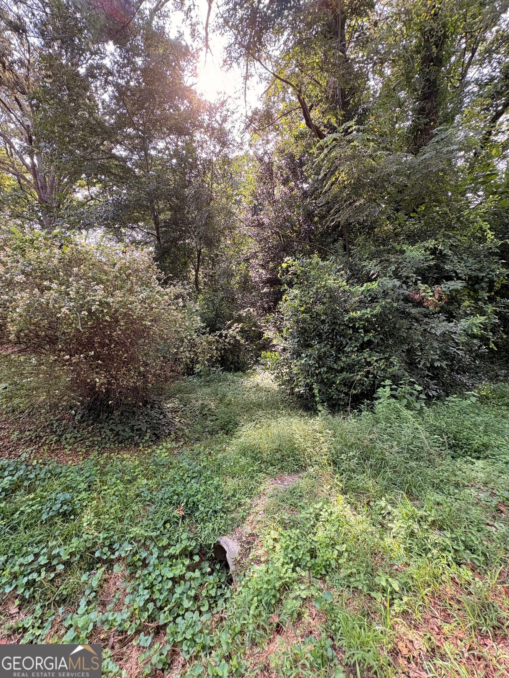 residential lot for sale at LOT 11 Adamson Road, Jonesboro, GA 30236 — photo 4