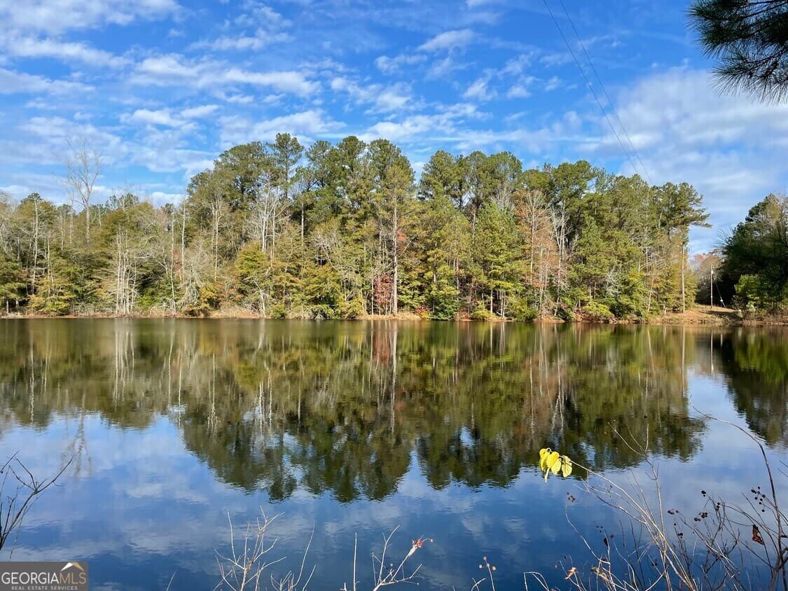 unimproved land for sale at 1775 Brown Road, Hephzibah, GA 30815 — photo 2