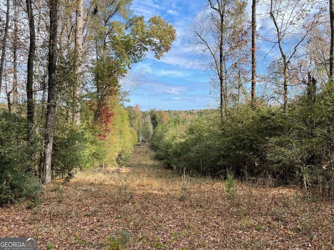 unimproved land for sale at 1775 Brown Road, Hephzibah, GA 30815 — photo 3