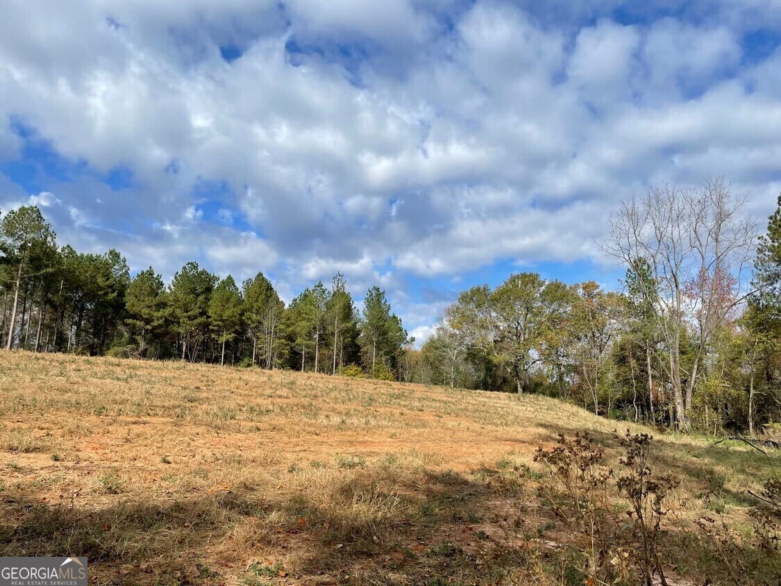 unimproved land for sale at 1775 Brown Road, Hephzibah, GA 30815 — photo 4