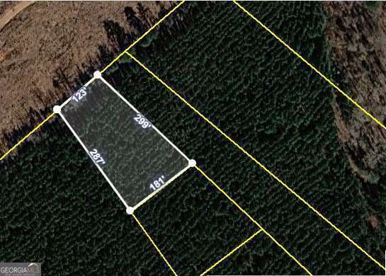 residential lot for sale at 0 Lower Mill Road, Crawfordville, GA 30631 — photo 2