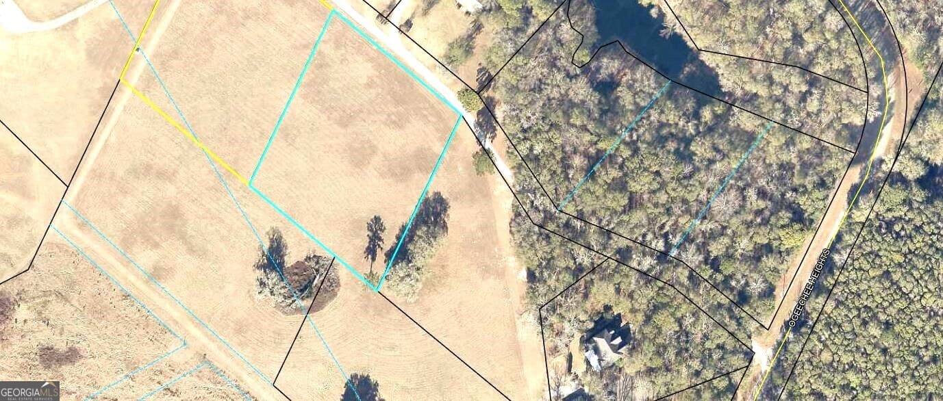residential lot for sale at 0 Mill Creek Road, Bartow, GA 30413 — photo 2