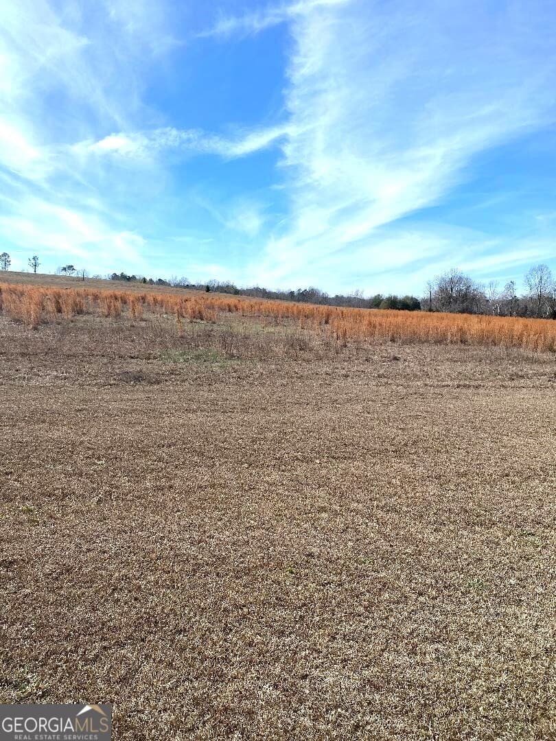 residential lot for sale at 0 Mill Creek Road, Bartow, GA 30413 — photo 3