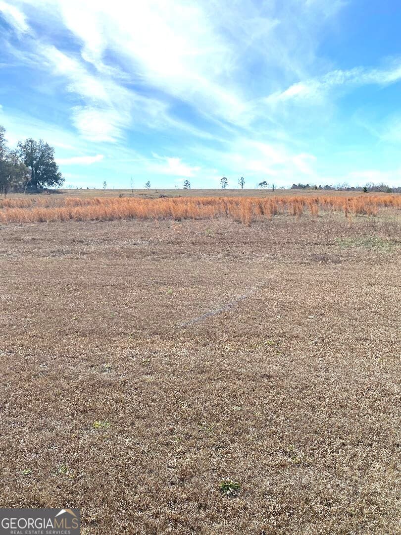 residential lot for sale at 0 Mill Creek Road, Bartow, GA 30413 — photo 4