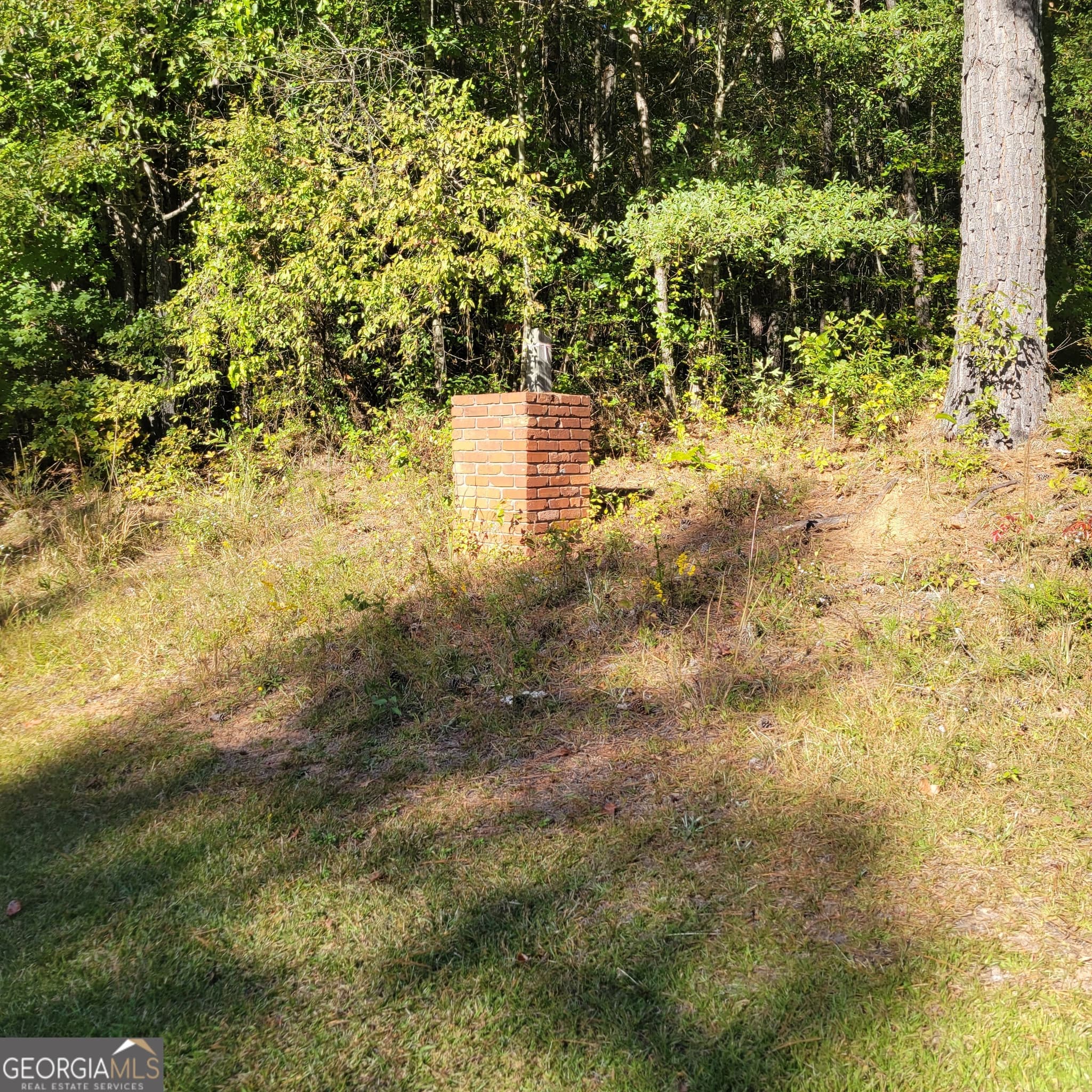 unimproved land for sale at 0 Bohannon, Grantville, GA 30220 — photo 2