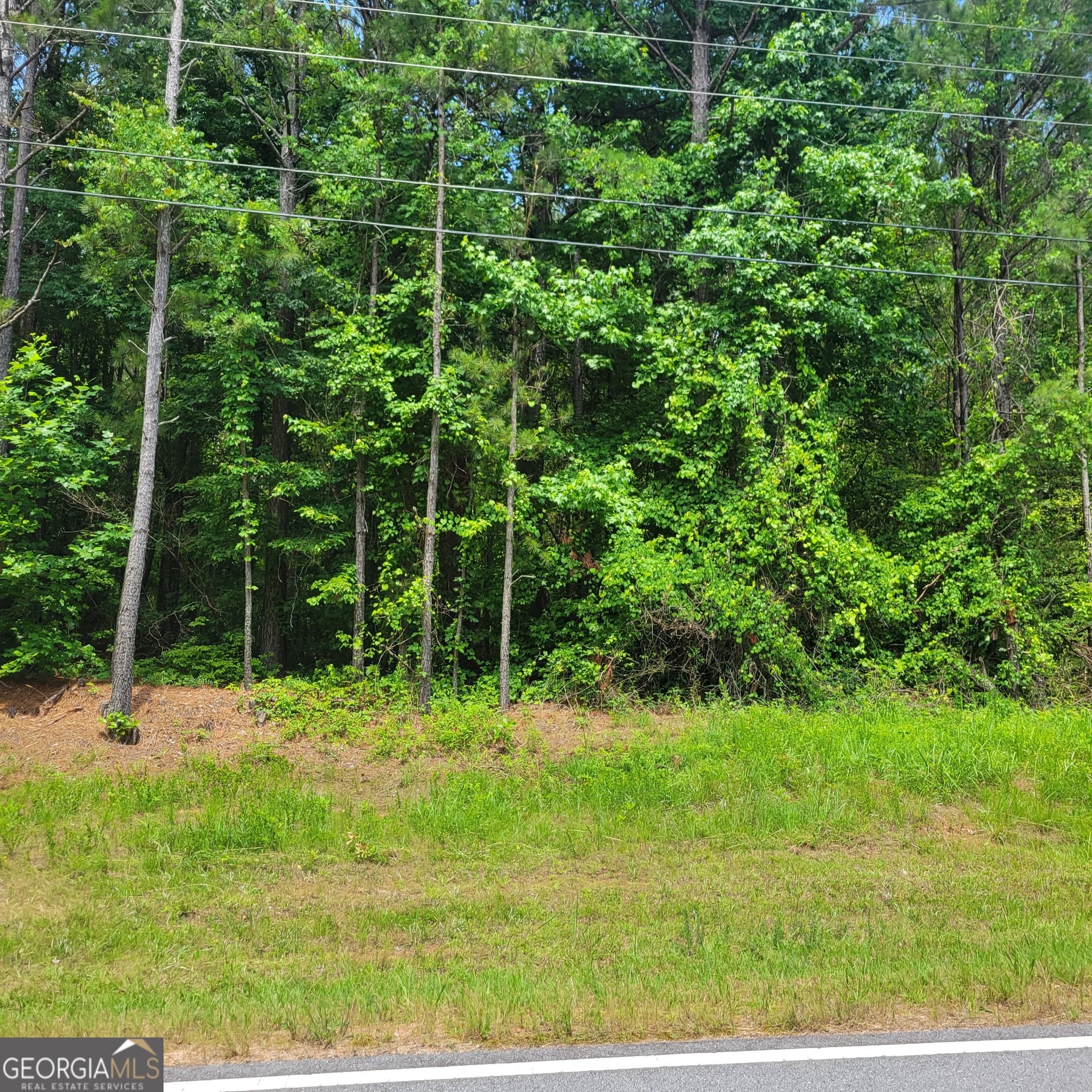 unimproved land for sale at 0 Bohannon, Grantville, GA 30220 — photo 6