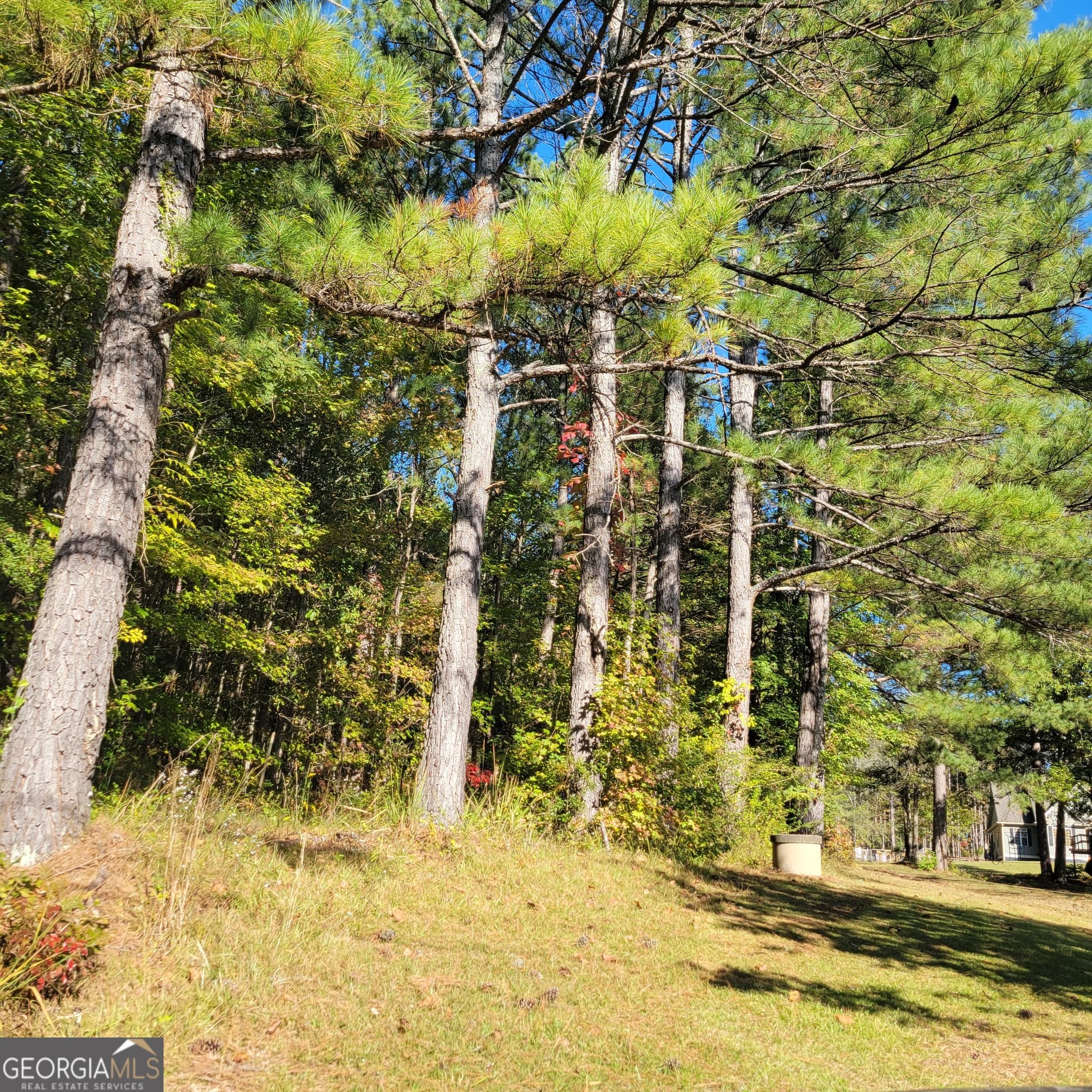 unimproved land for sale at 0 Bohannon, Grantville, GA 30220 — photo 3