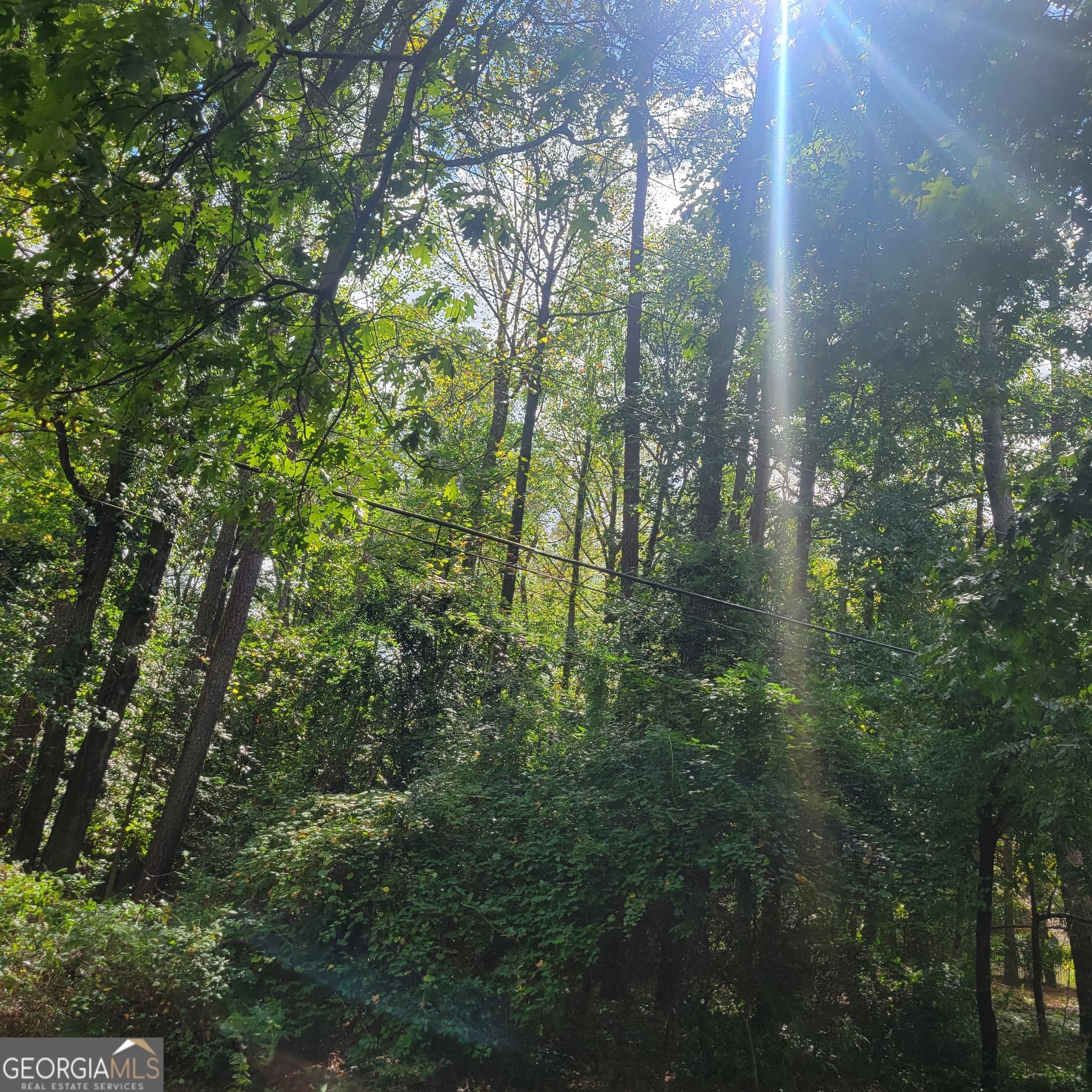 unimproved land for sale at 0 Bohannon, Grantville, GA 30220 — photo 1 of 6