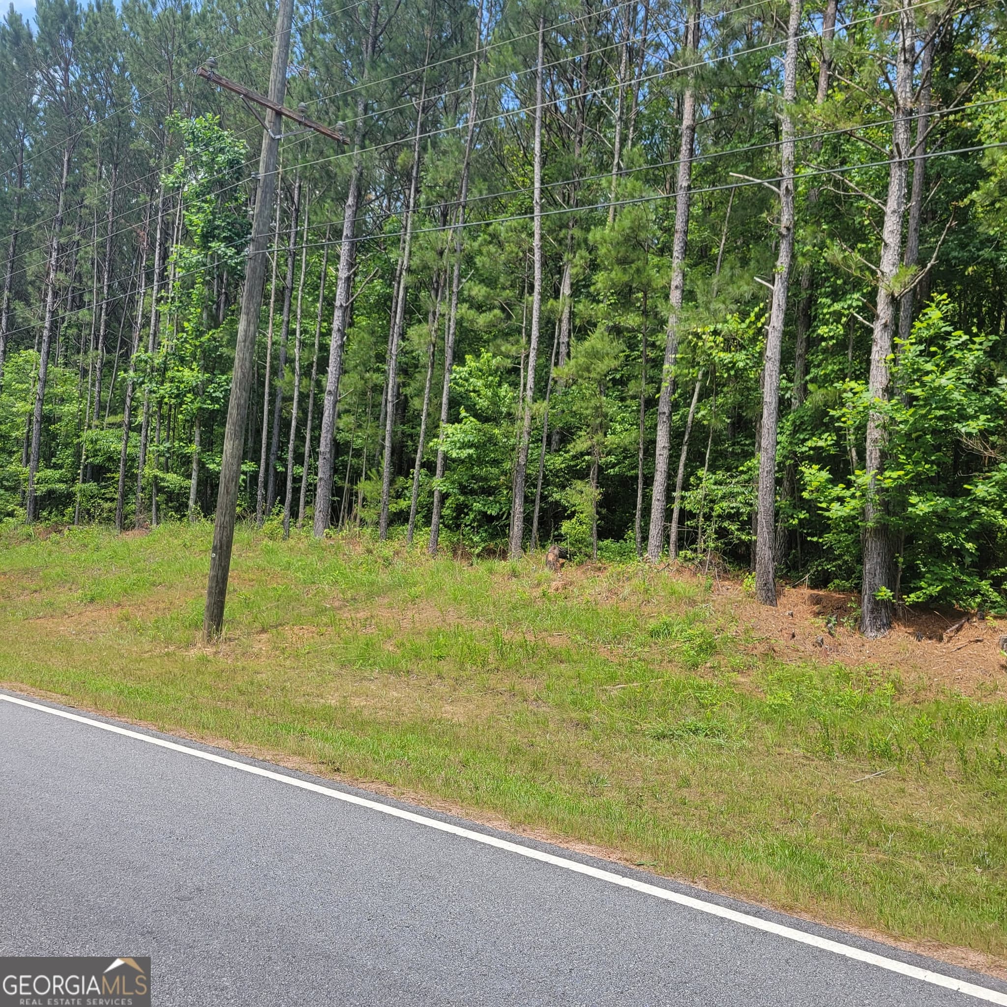 unimproved land for sale at 0 Bohannon, Grantville, GA 30220 — photo 5