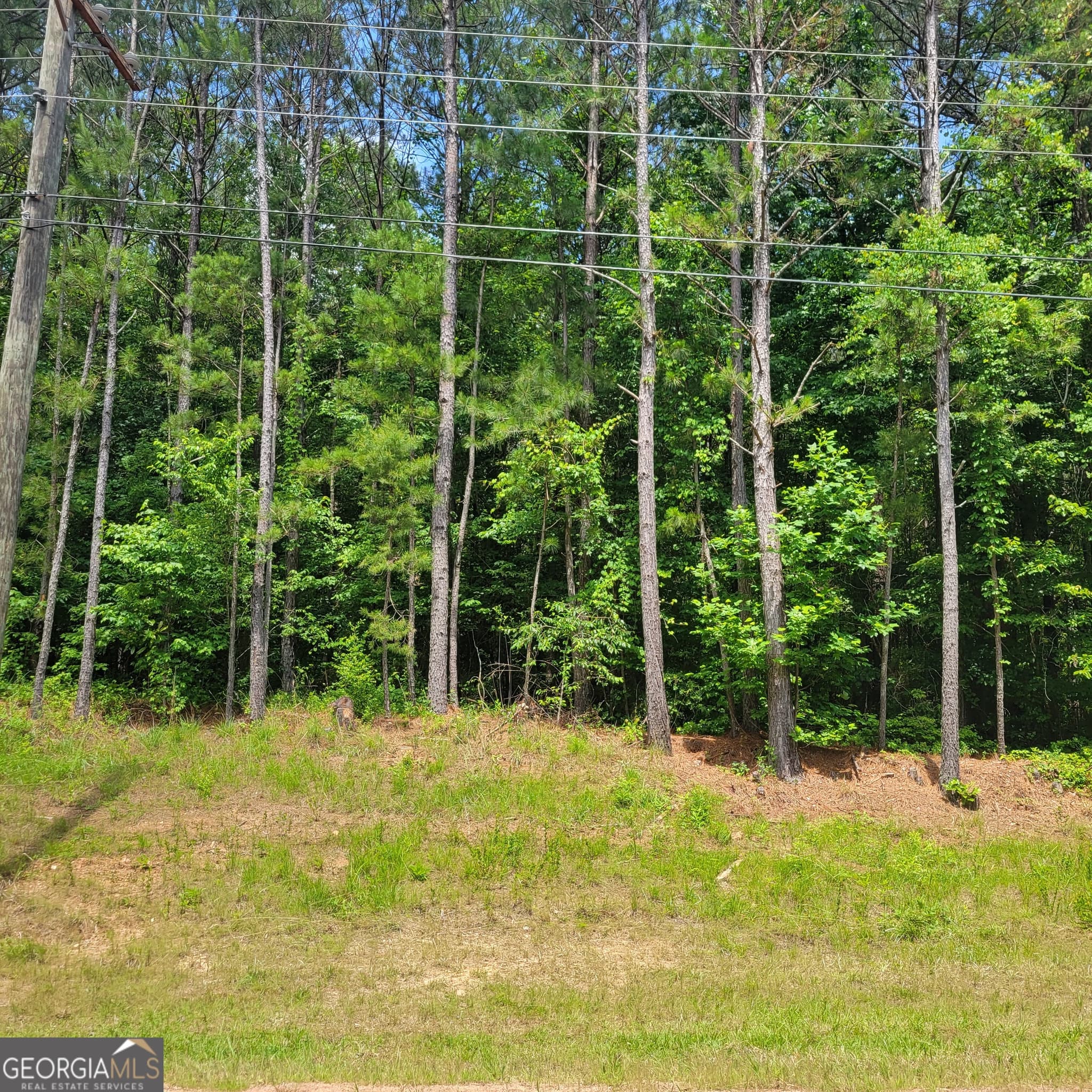 unimproved land for sale at 0 Bohannon, Grantville, GA 30220 — photo 4