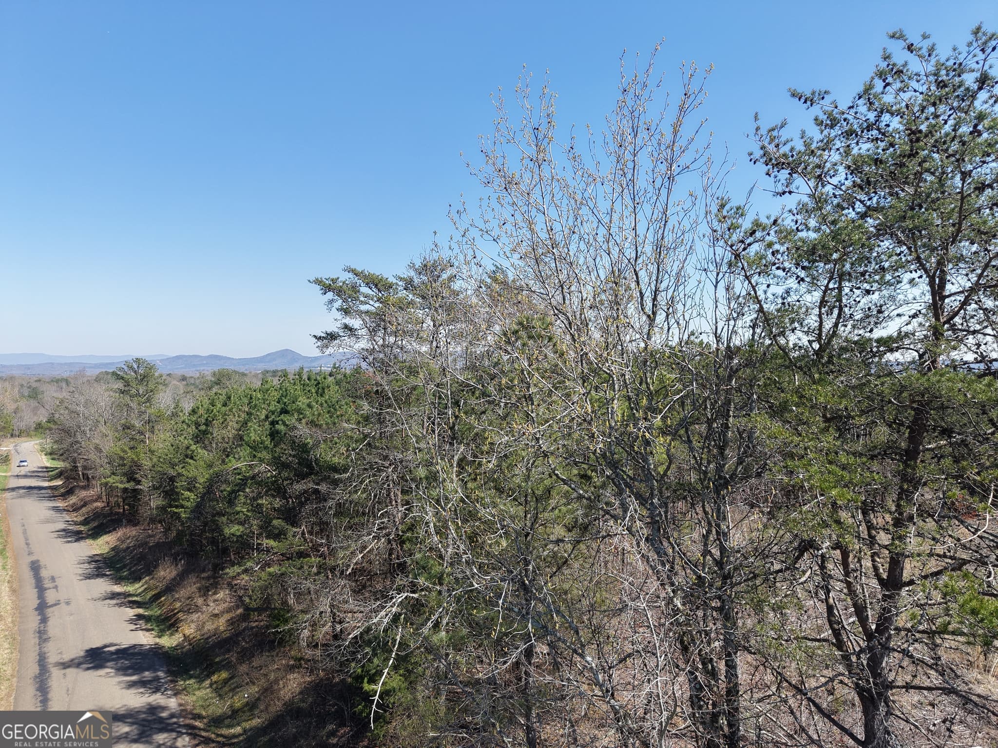unimproved land for sale at 0 Young Loop 7206 PARCEL A, Fairmount, GA 30139 — photo 6