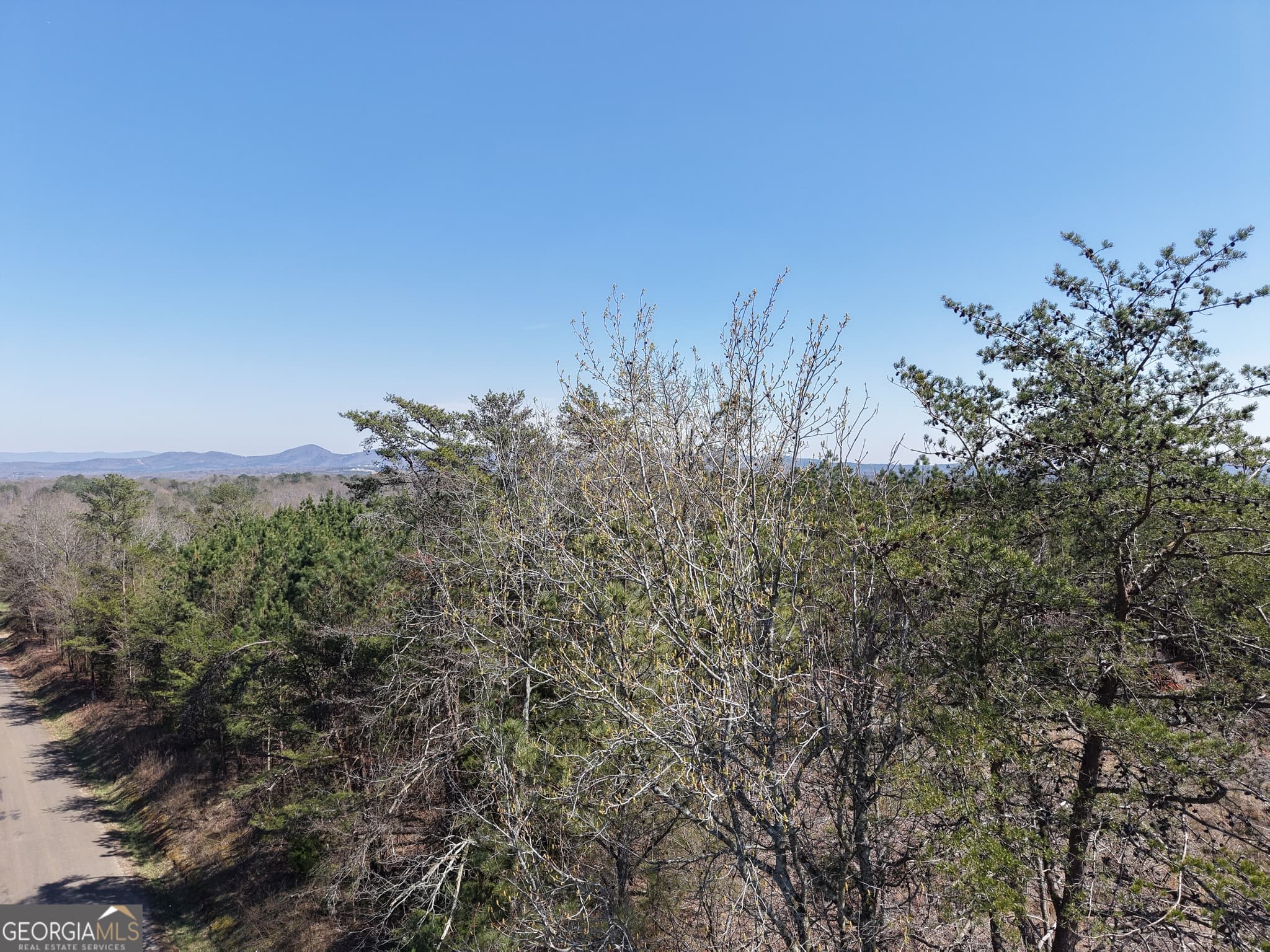 unimproved land for sale at 0 Young Loop 7206 PARCEL A, Fairmount, GA 30139 — photo 7