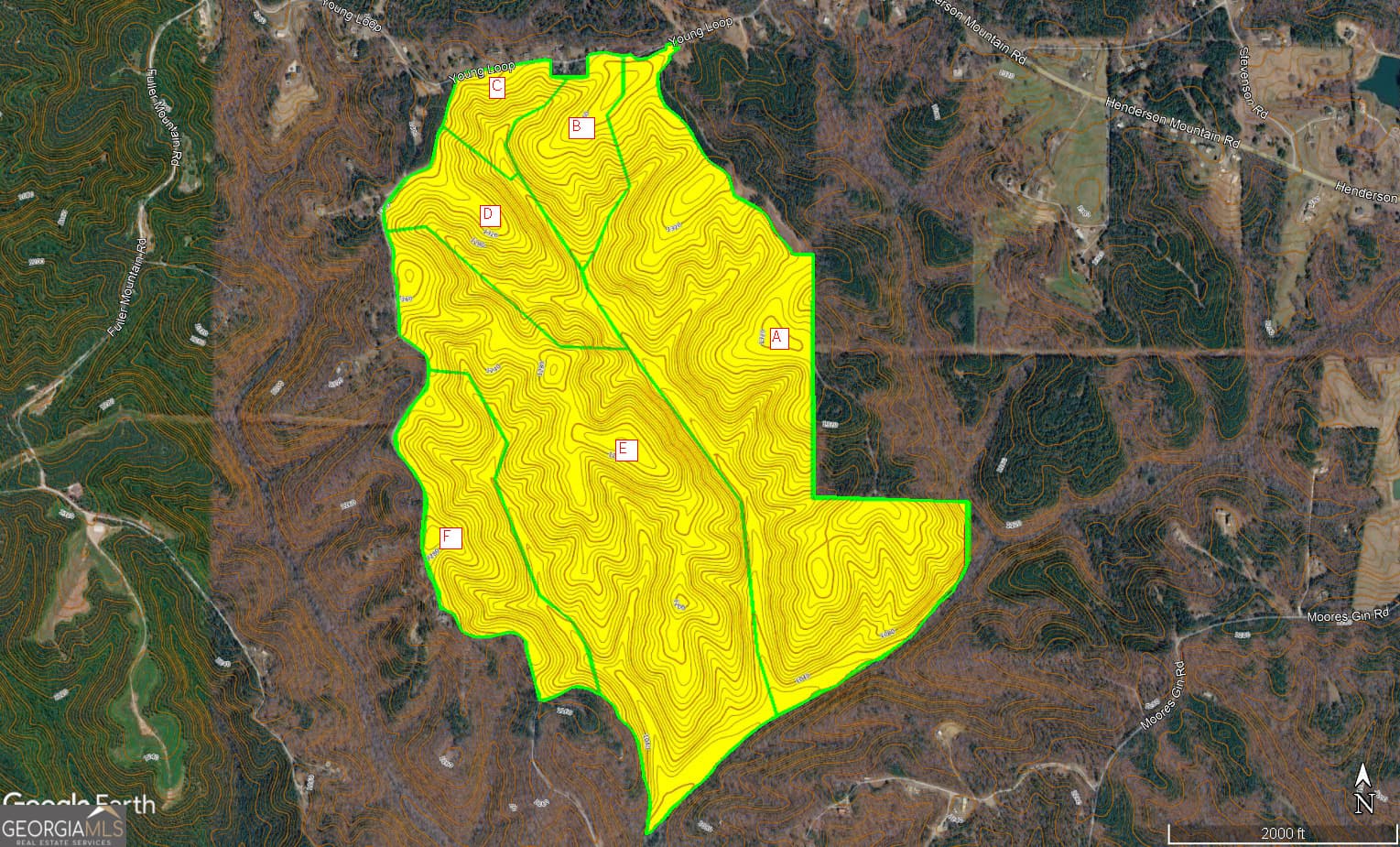 unimproved land for sale at 0 Young Loop 7206 PARCEL A, Fairmount, GA 30139 — photo 3