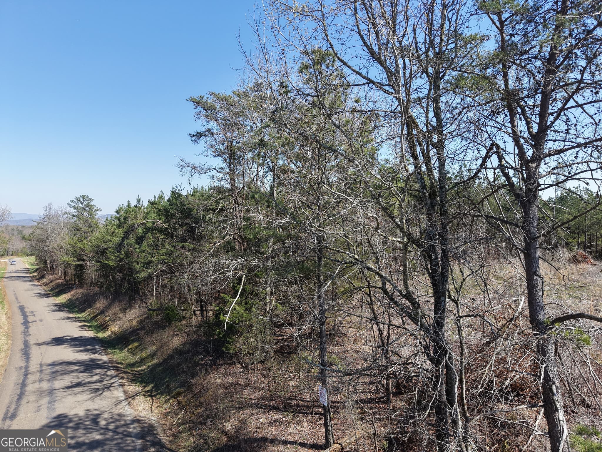 unimproved land for sale at 0 Young Loop 7206 PARCEL A, Fairmount, GA 30139 — photo 5