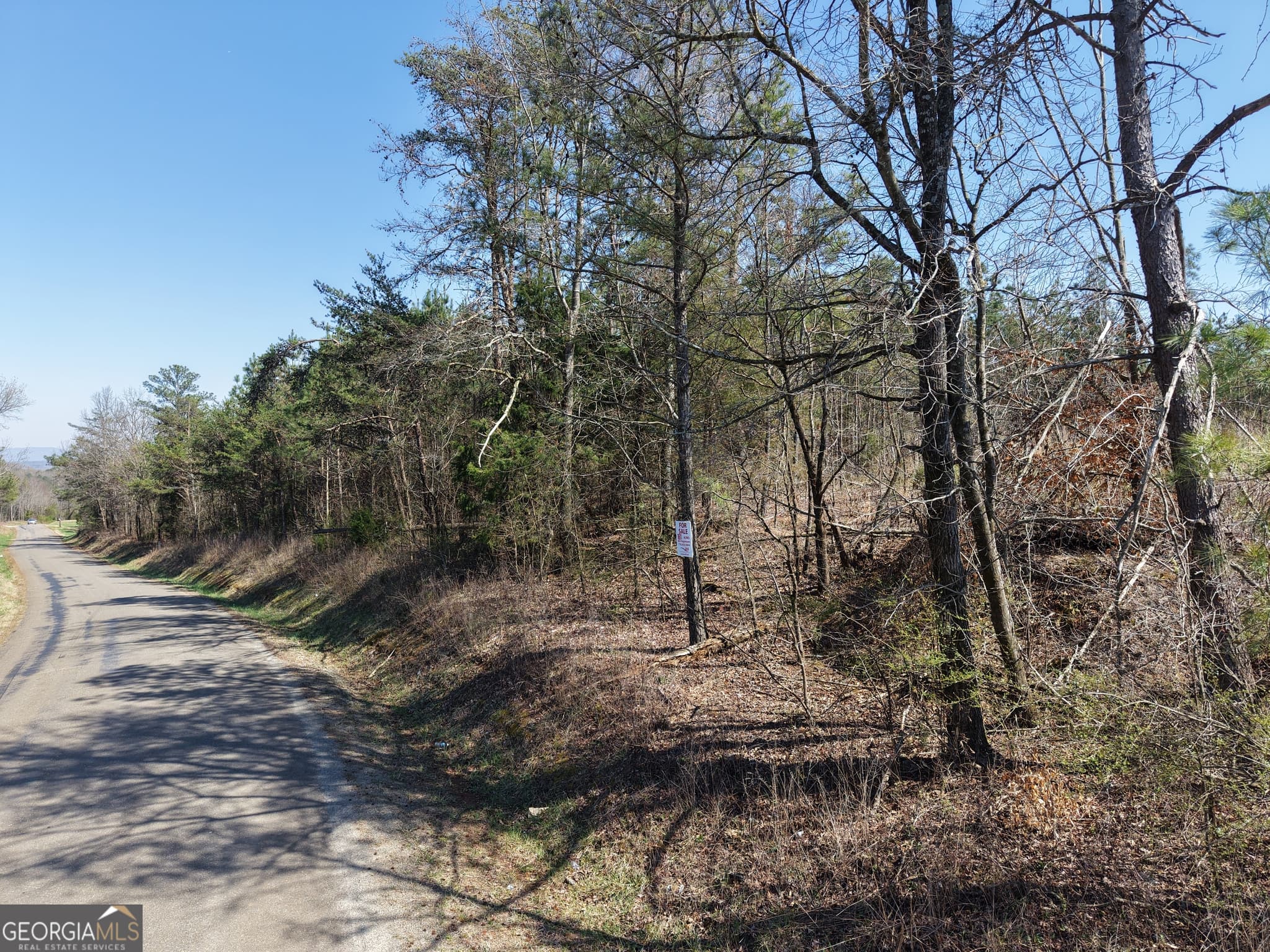 unimproved land for sale at 0 Young Loop 7206 PARCEL A, Fairmount, GA 30139 — photo 4