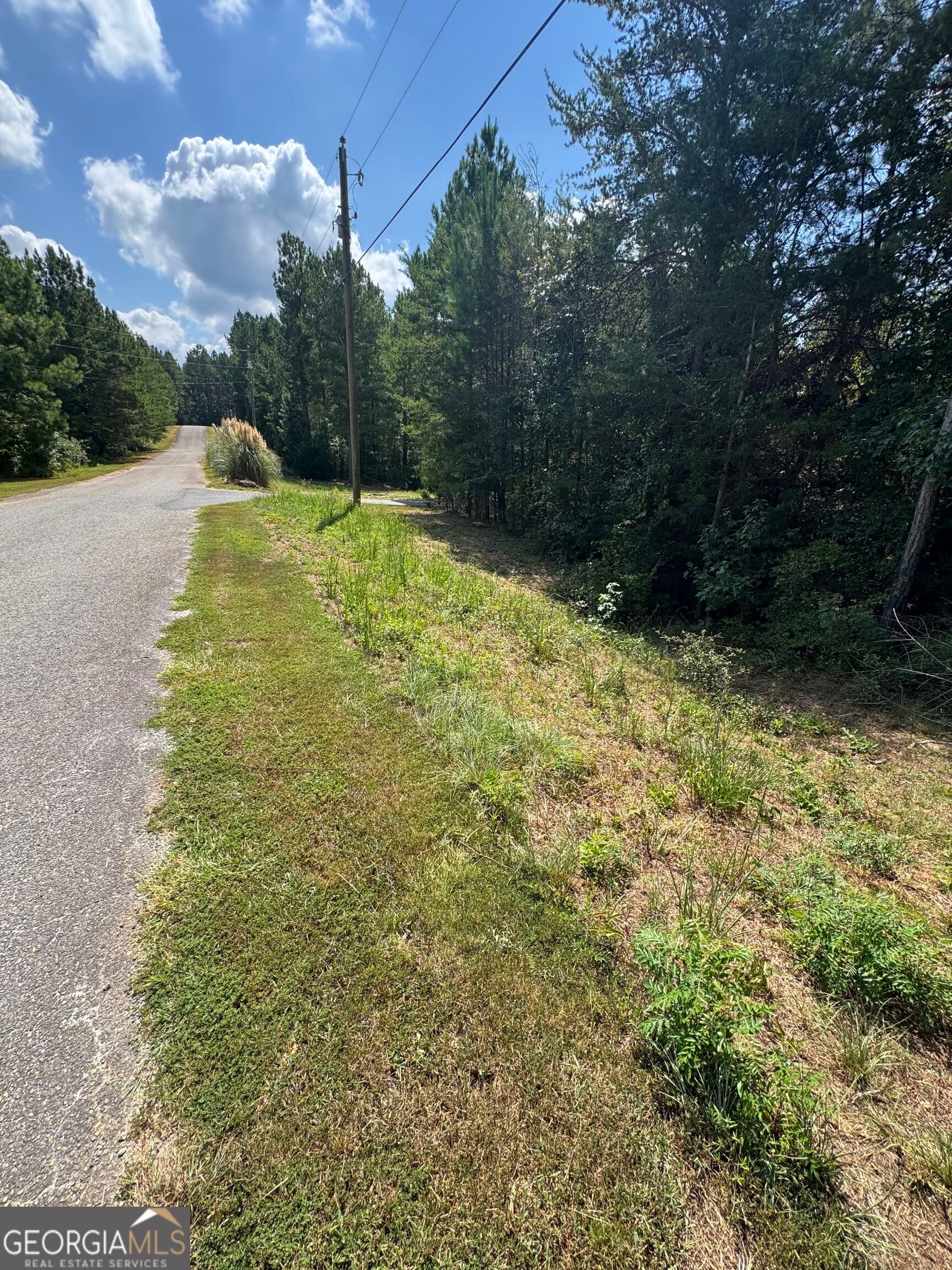 residential lot for sale at 0 Omaha Drive, Elberton, GA 30635 — photo 9