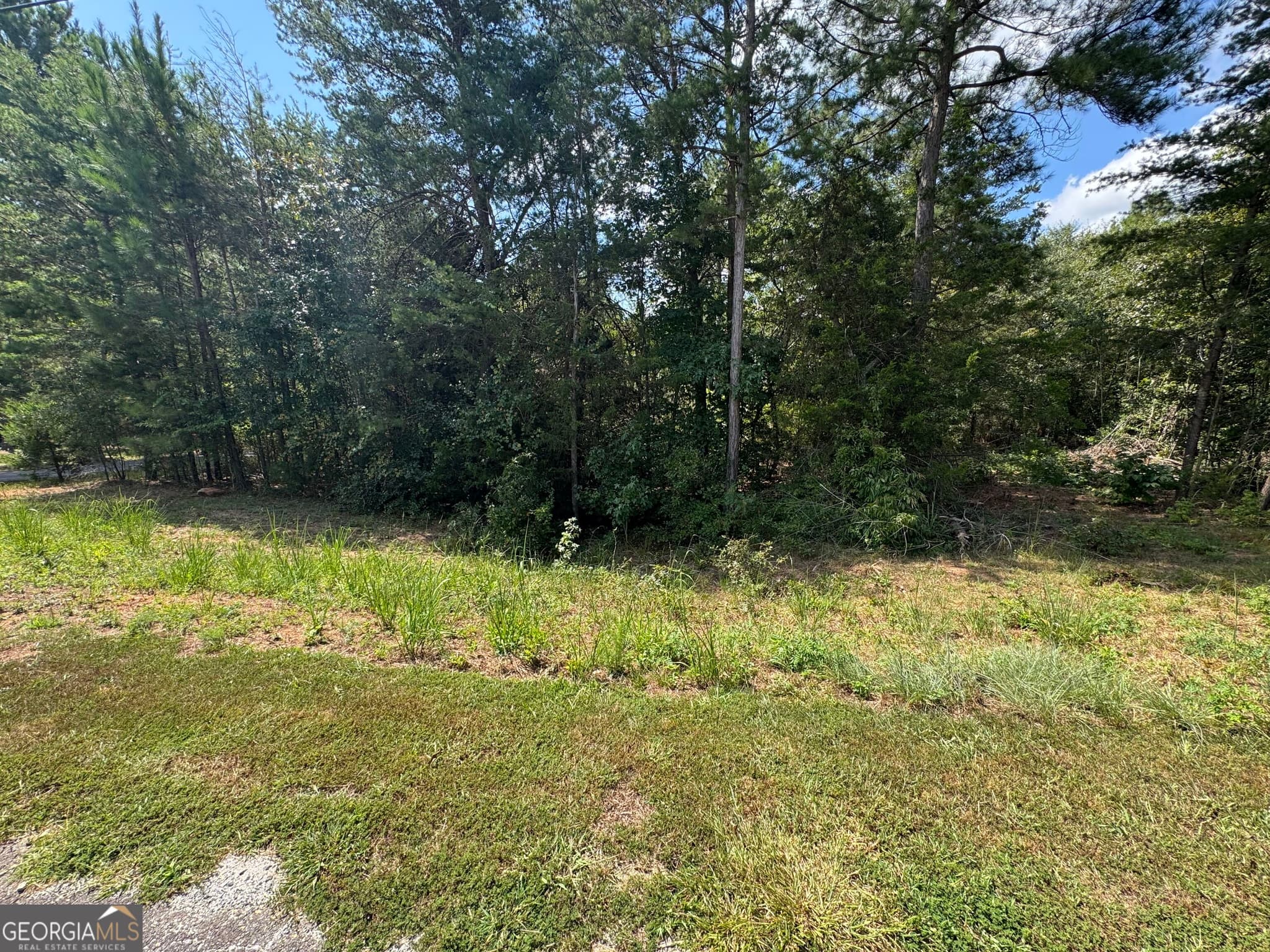 residential lot for sale at 0 Omaha Drive, Elberton, GA 30635 — photo 10
