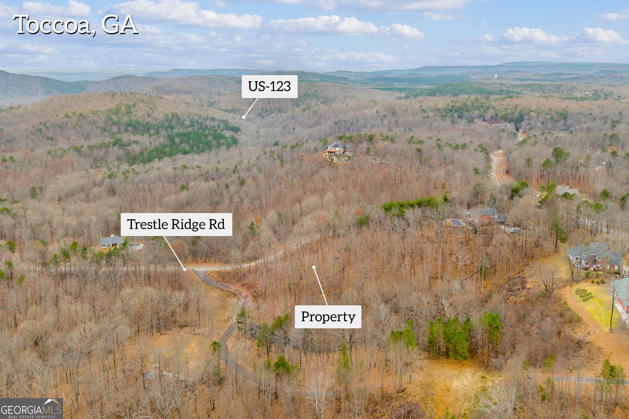 residential lot for sale at 0 Trestle Ridge Road, Toccoa, GA 30577 — photo 6