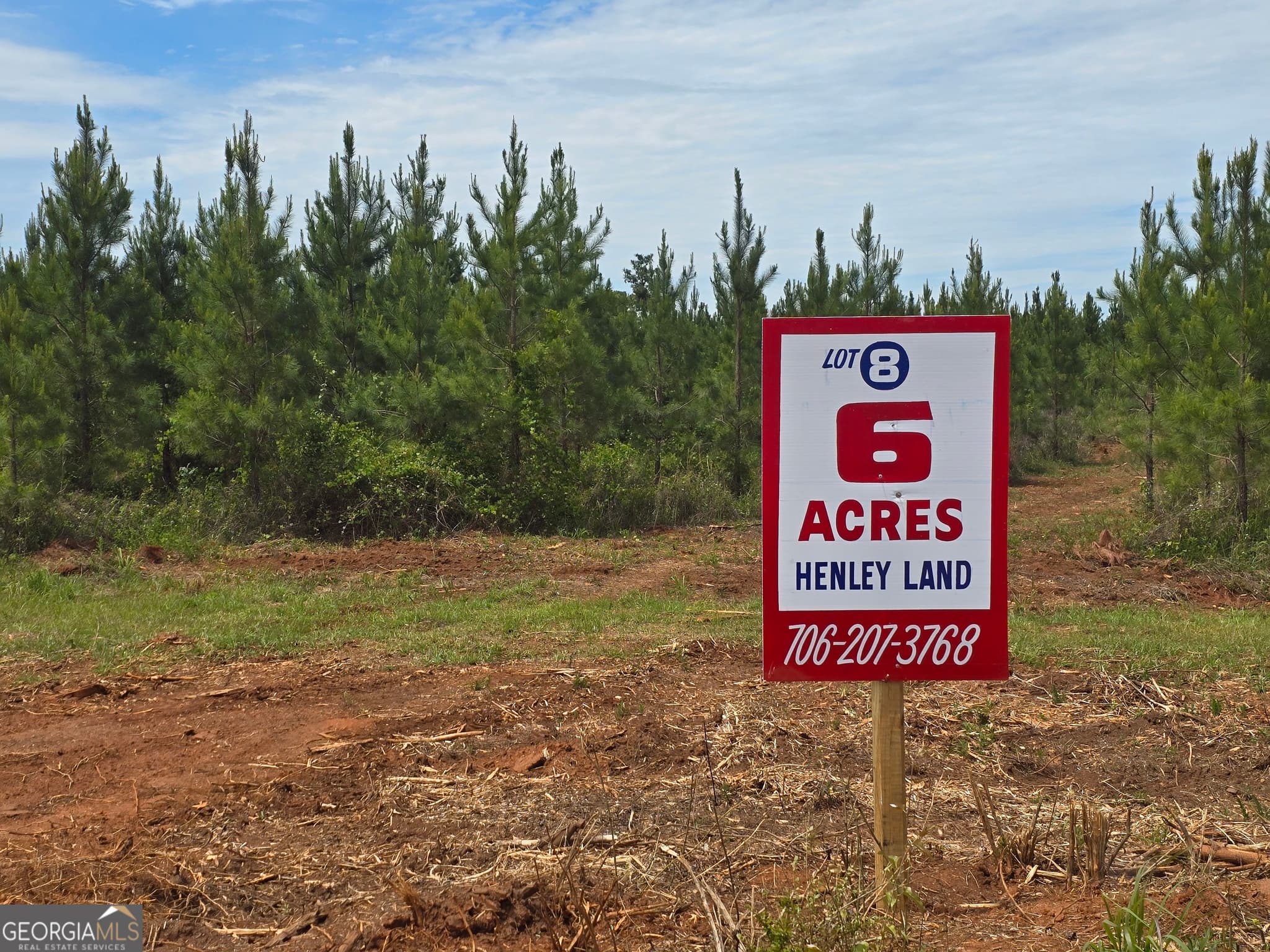 08 Marvin Murphy Road, Ellaville, GA 31806 — most recent listing photo