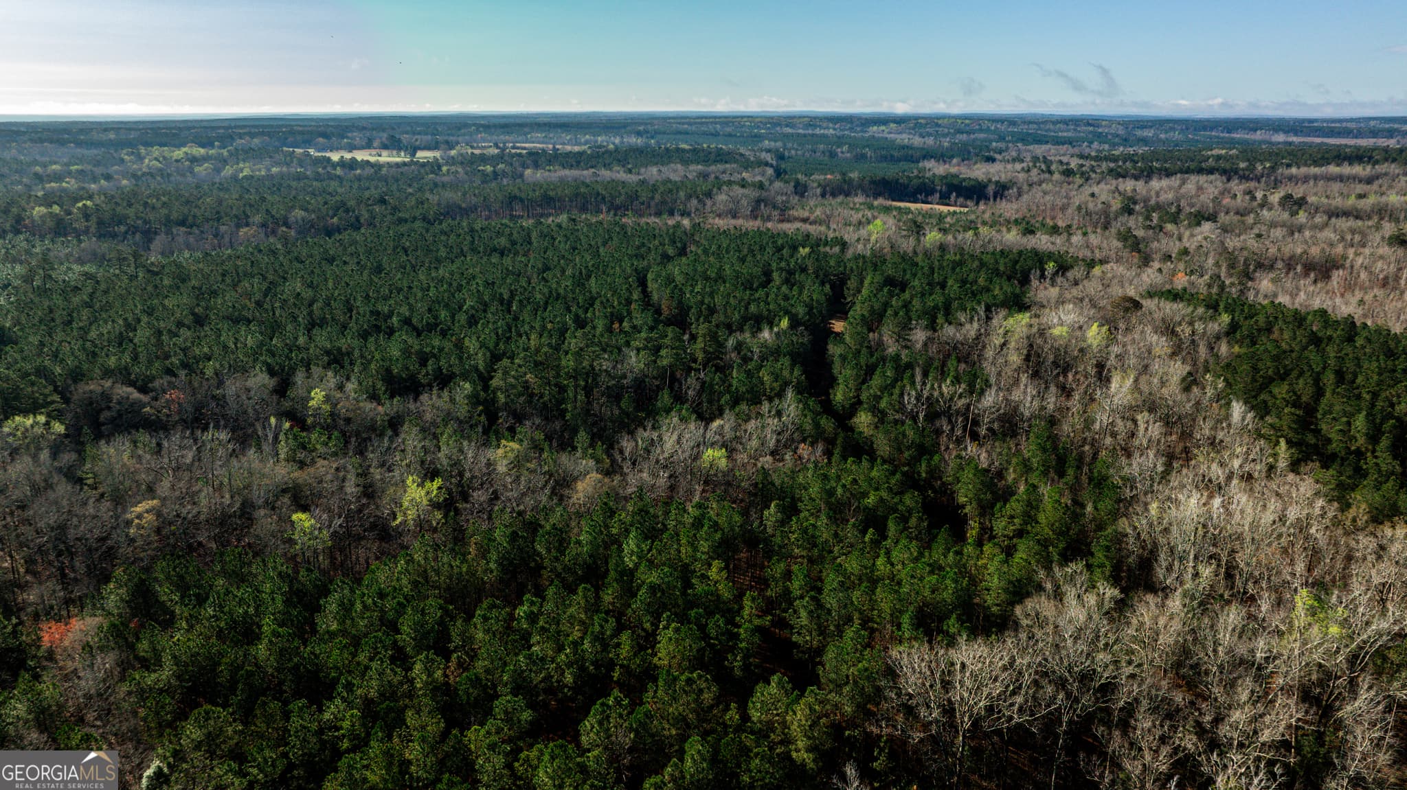 unimproved land for sale at 0 Island Creek Road, Sparta, GA 31087 — photo 2